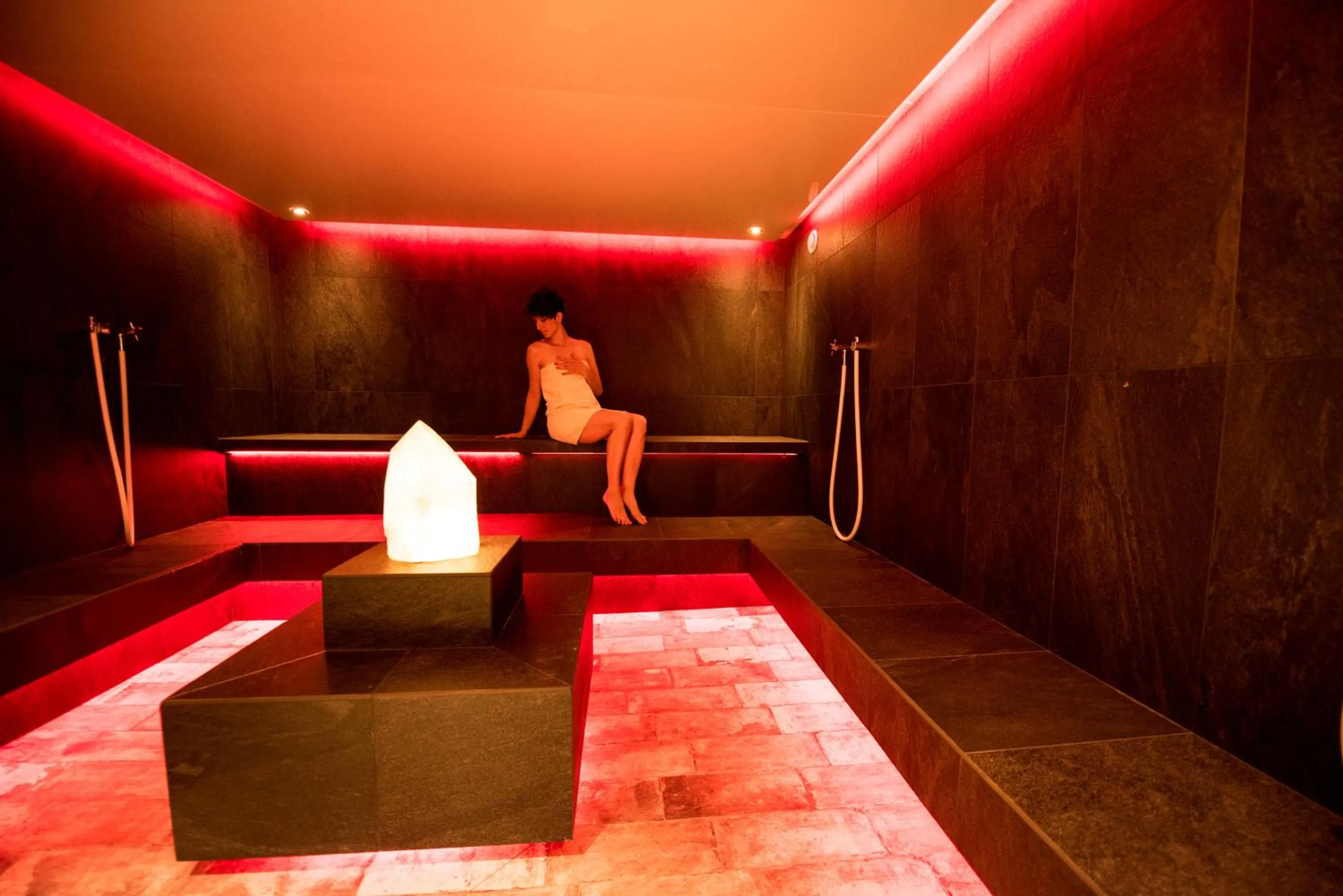 Sauna in Hotel Pinei