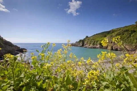 Natural landscape in Le Chene Hotel