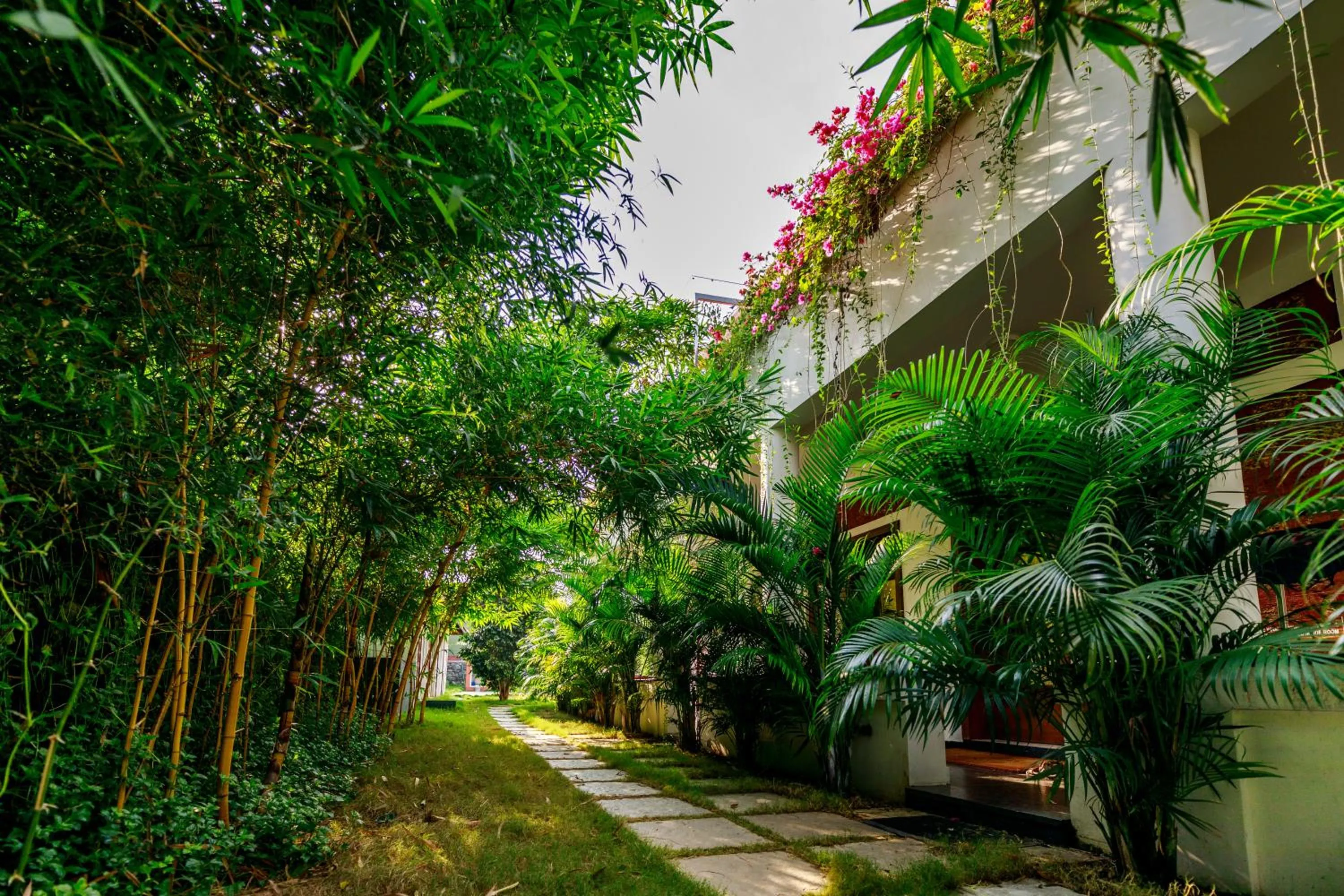 Garden view in SR Jungle Resort