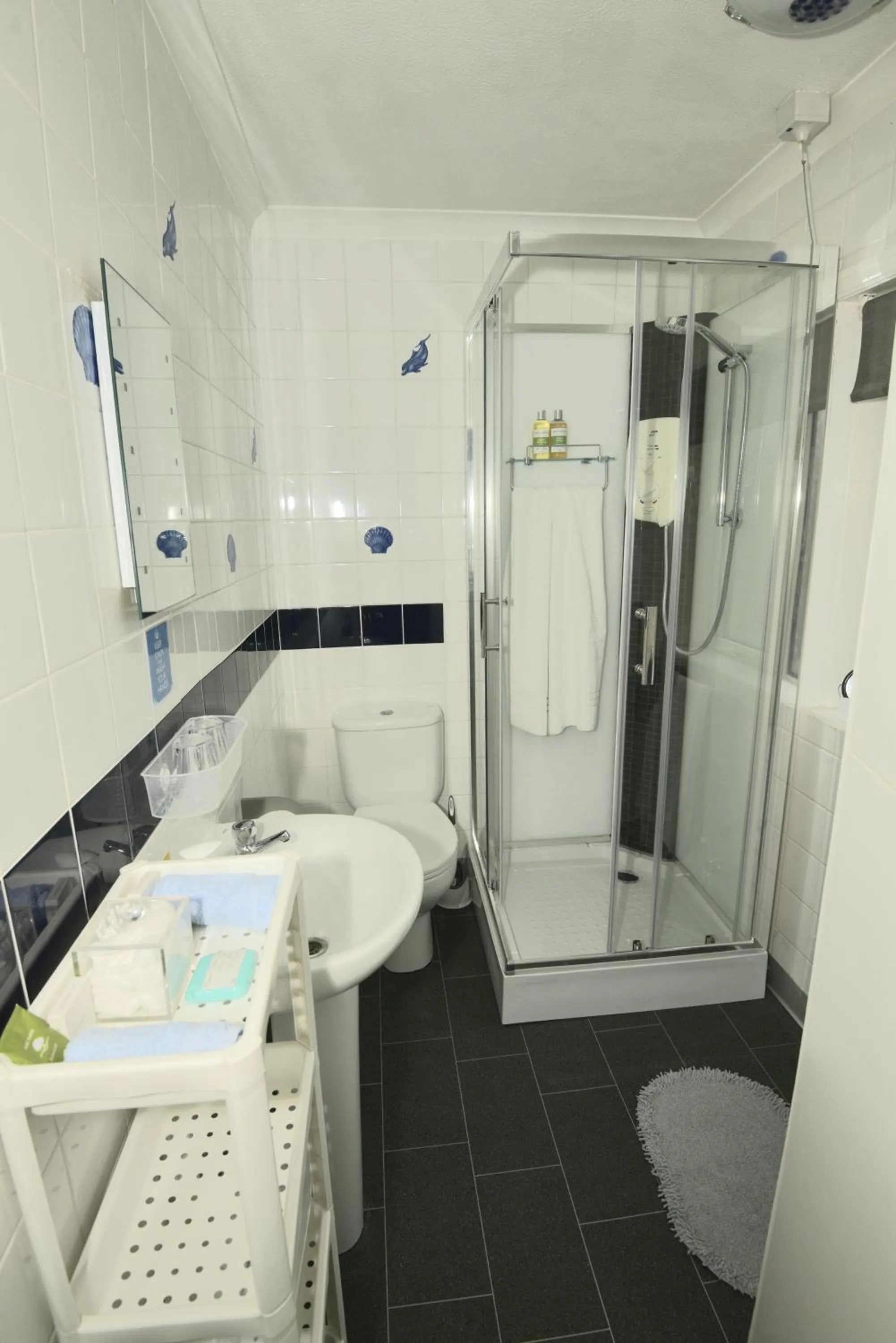 Shower in Rosedale Bed and Breakfast