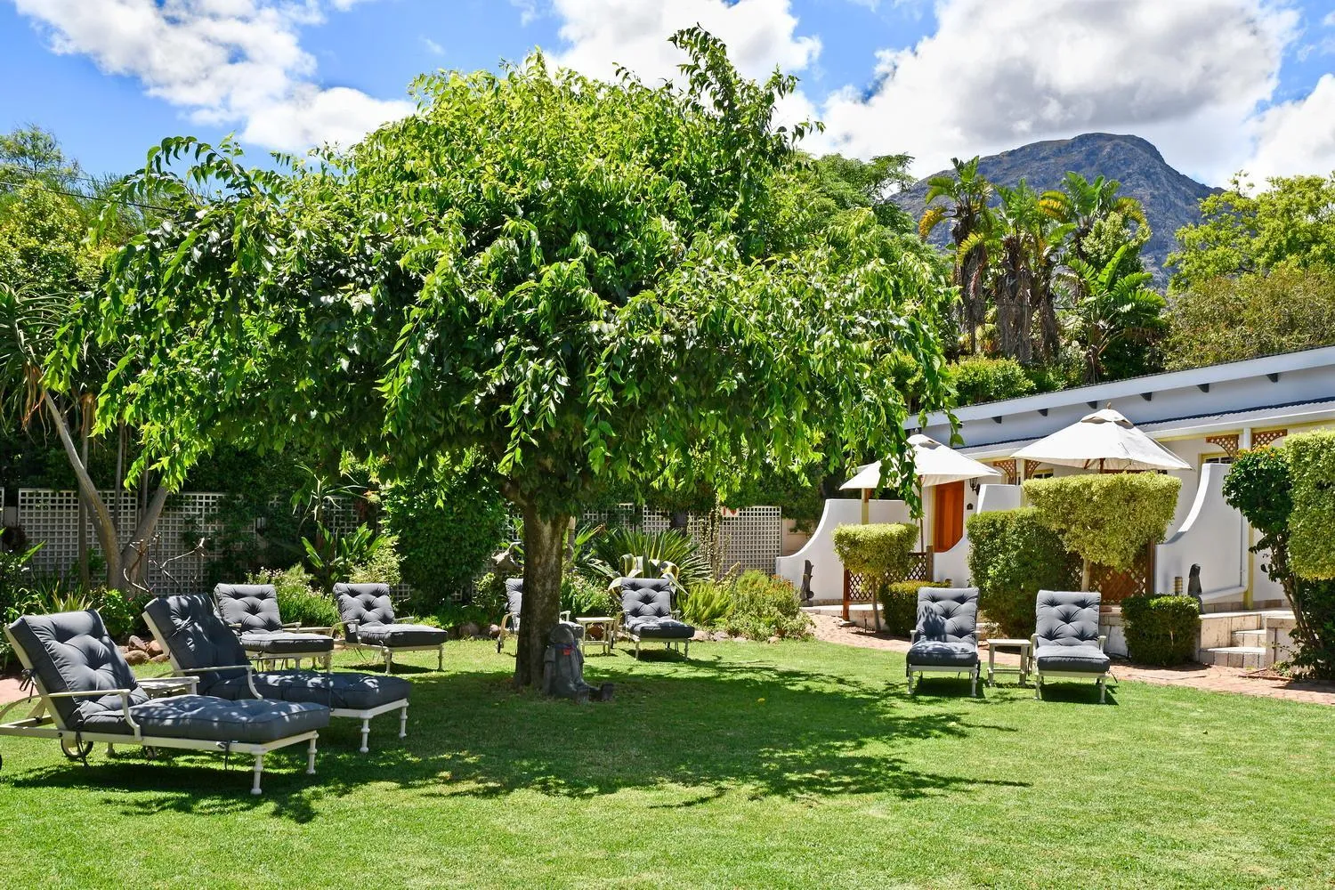 Garden in The Coach House