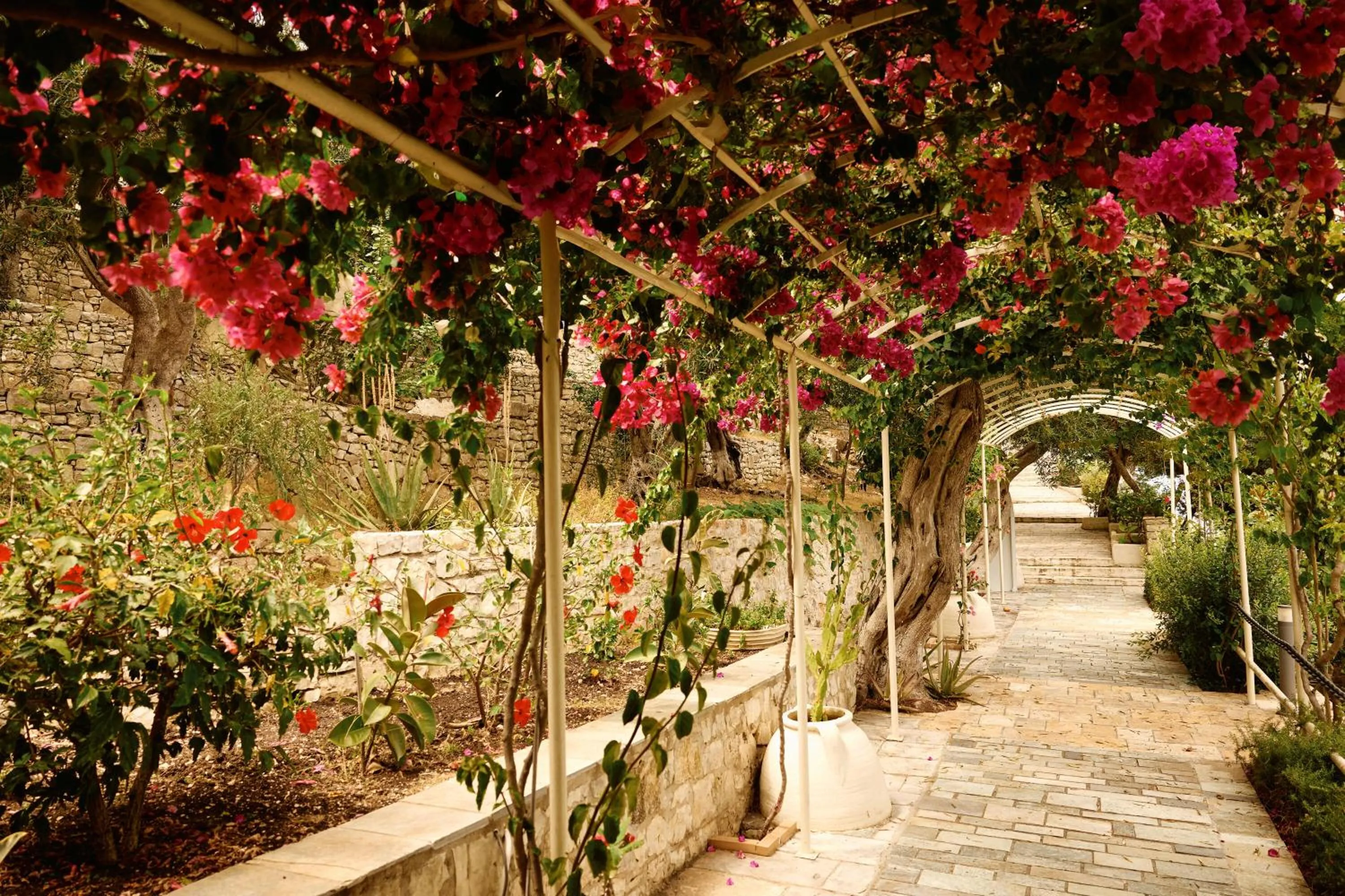 Garden in Agali Hotel Paxos