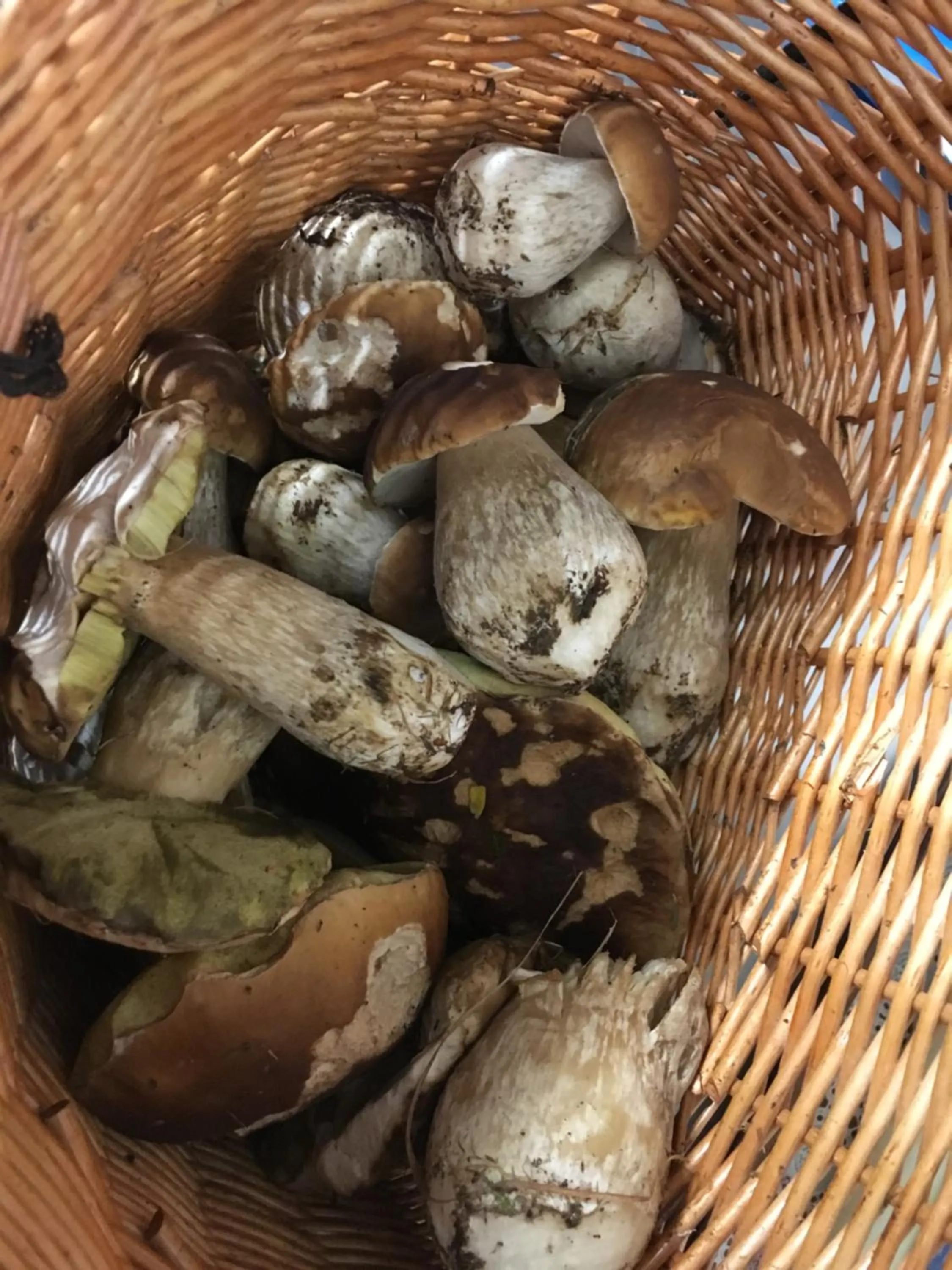 Sports in Garni Enrosadira