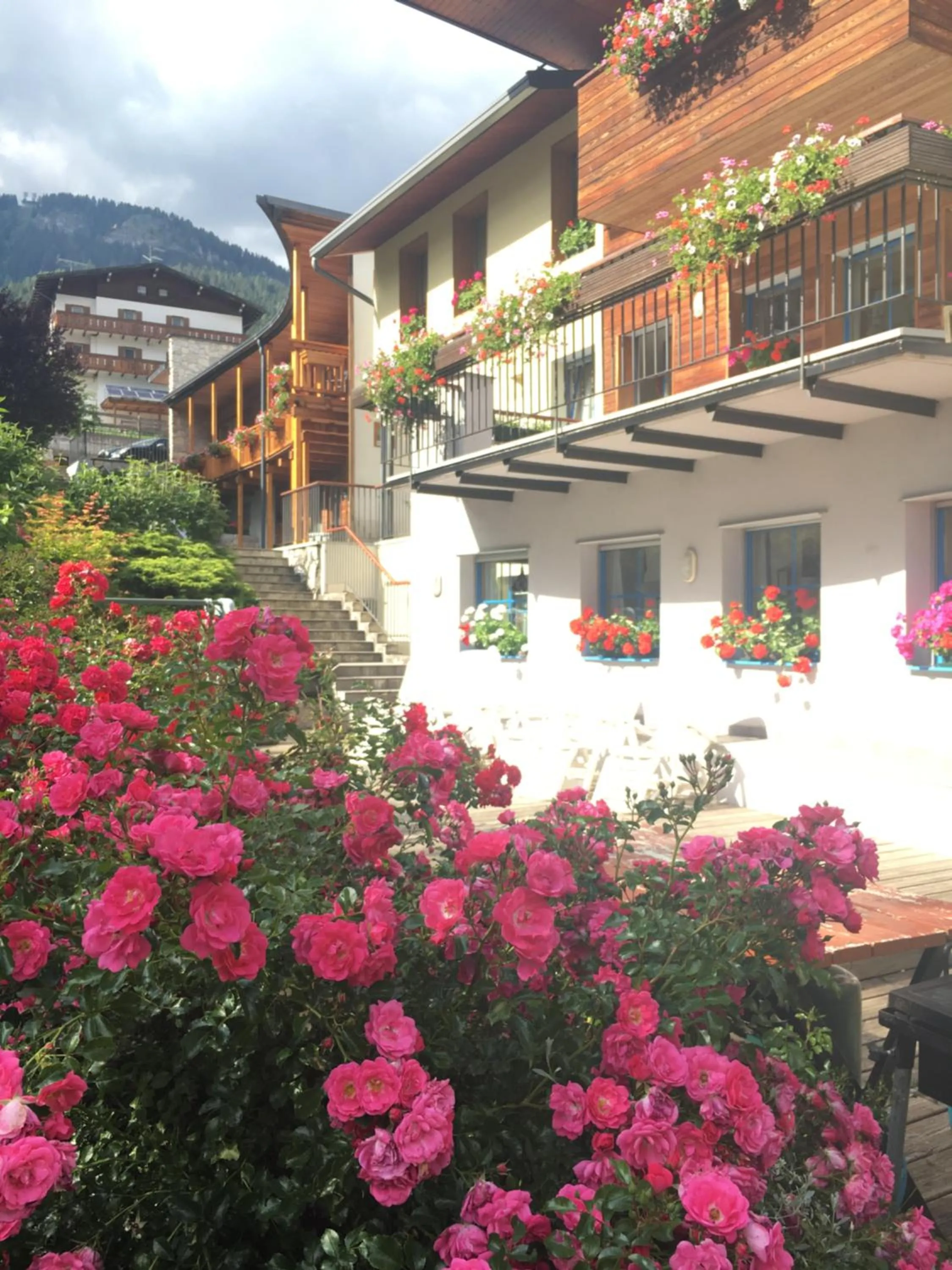 Garden in Garni Enrosadira