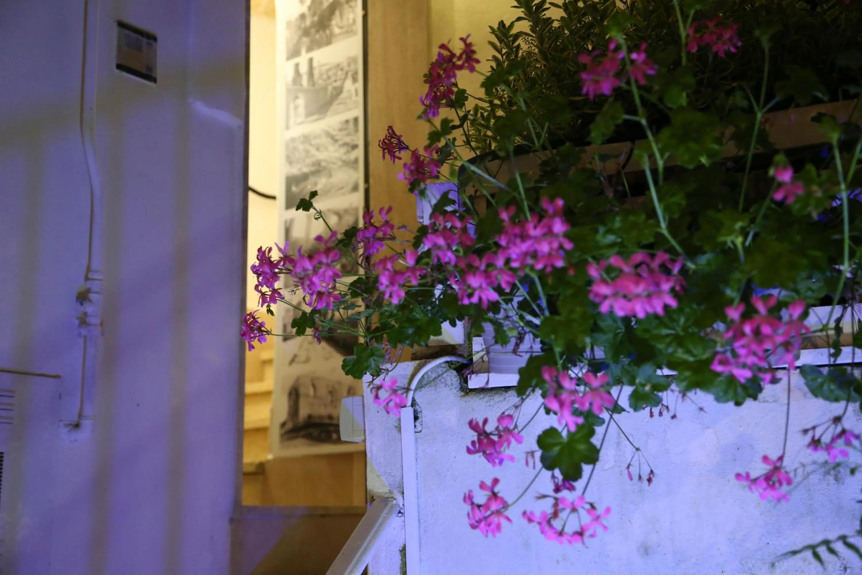 Floor plan in The Bridge Suites