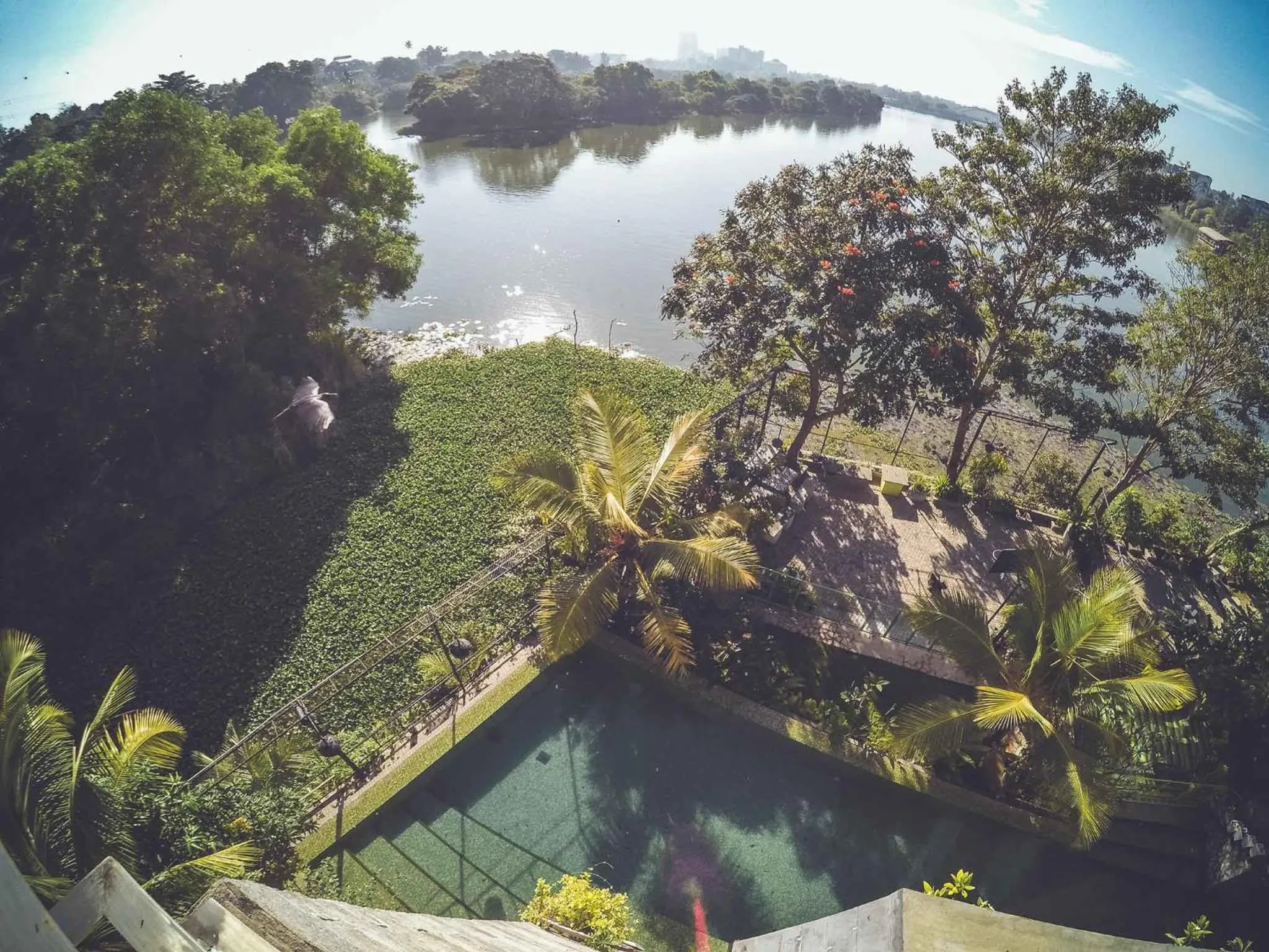 Swimming pool in Aathma Colombo House