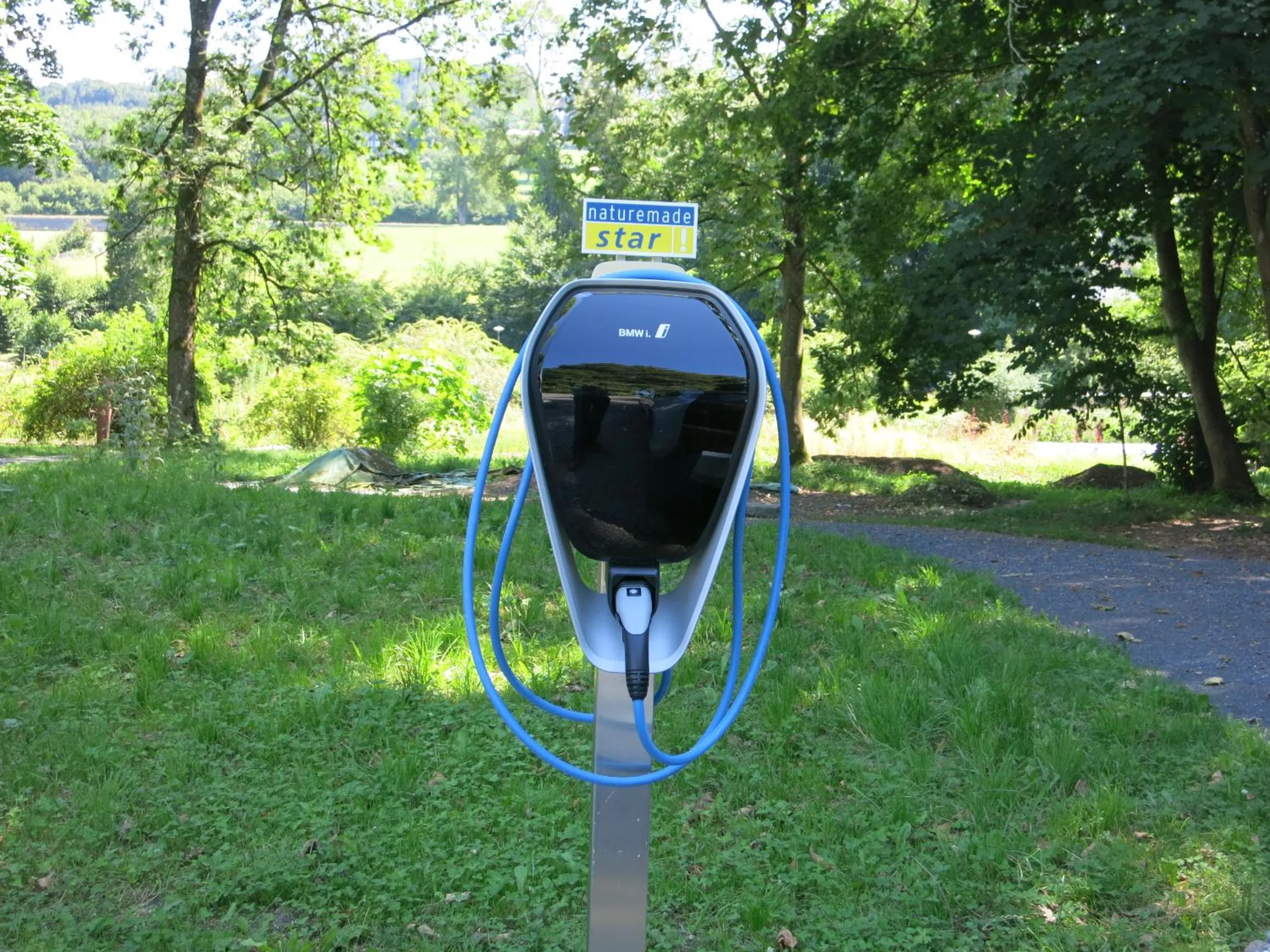 Decorative detail in Schloss Wartegg