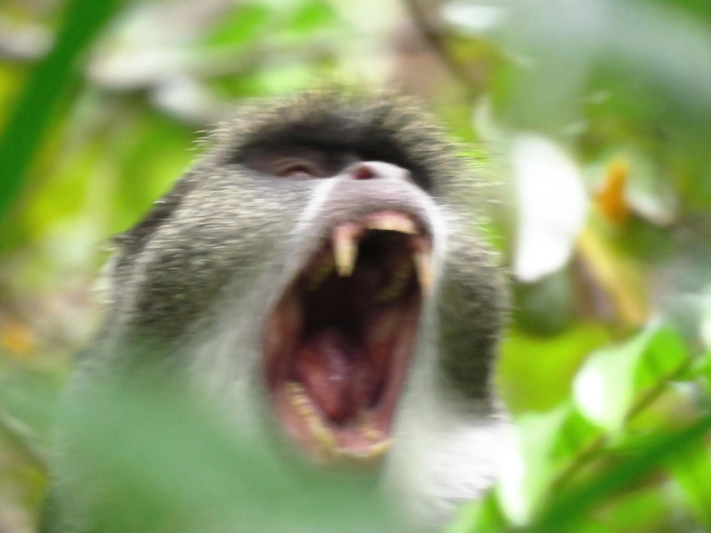 Children play ground in Kivulini Lodge and Restaurant