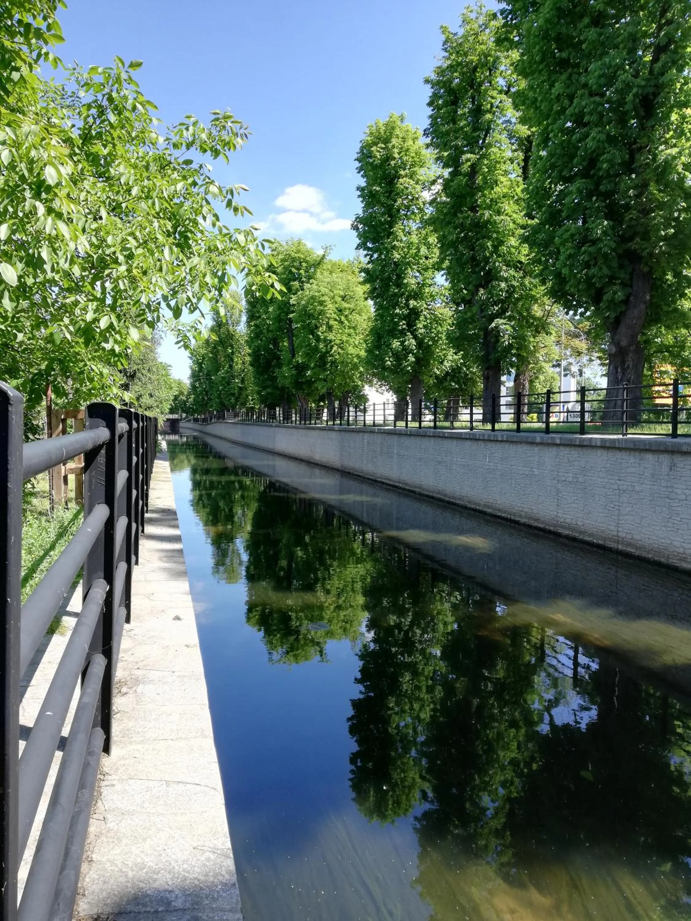 Hostel Mamas & Papas