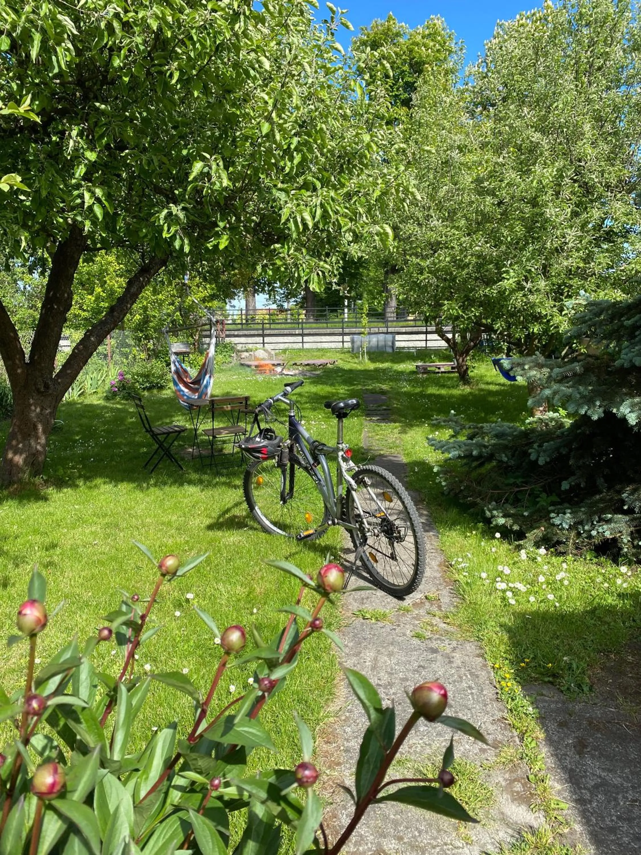 Hostel Mamas & Papas