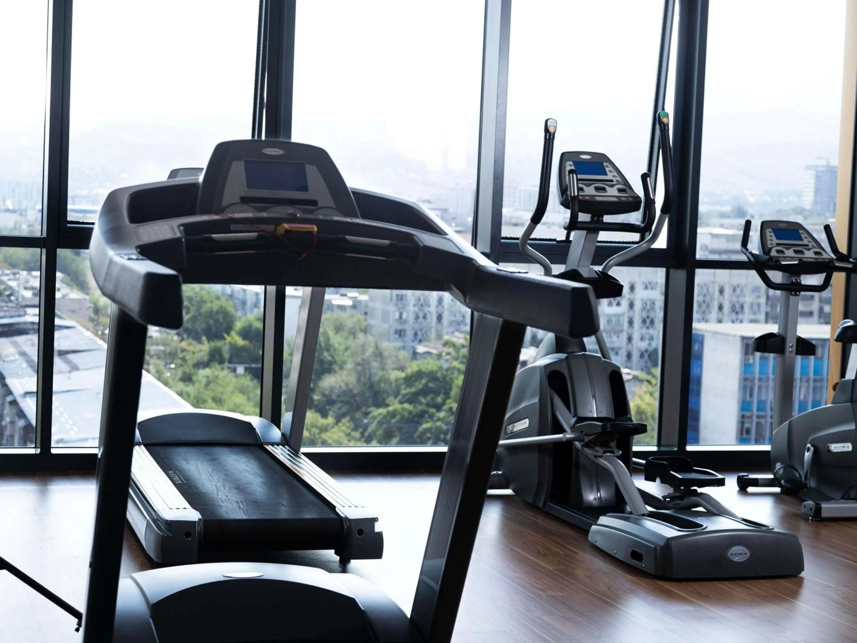 Other in Mercure Almaty City Center