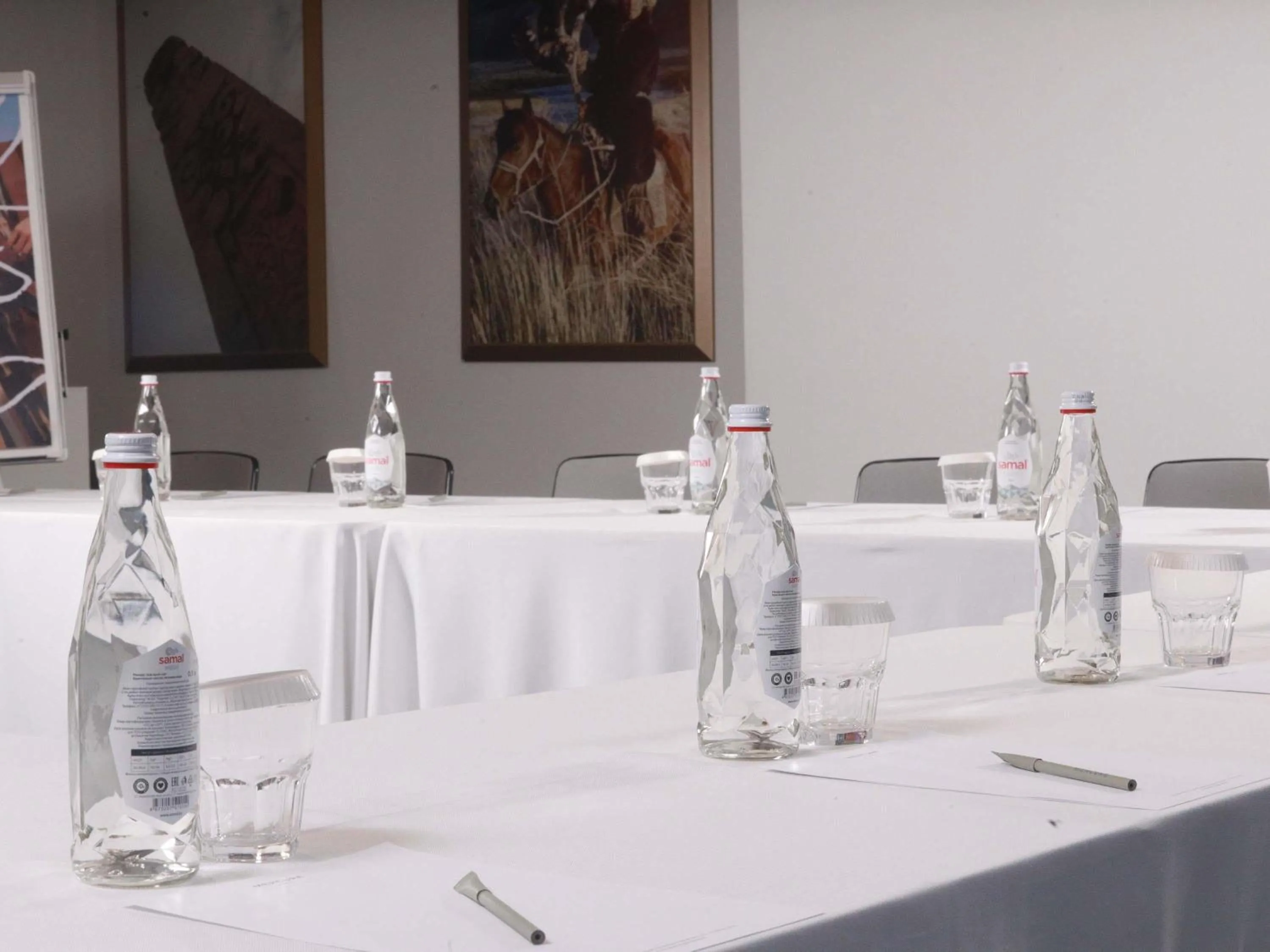 Business facilities in Mercure Almaty City Center