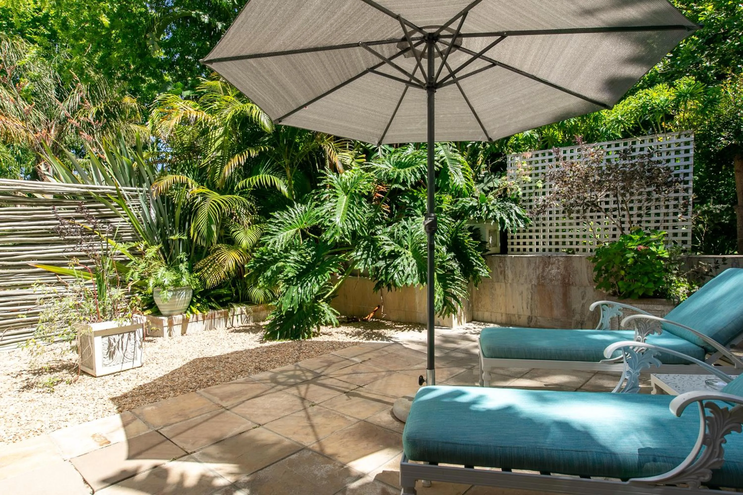 Last Word Constantia