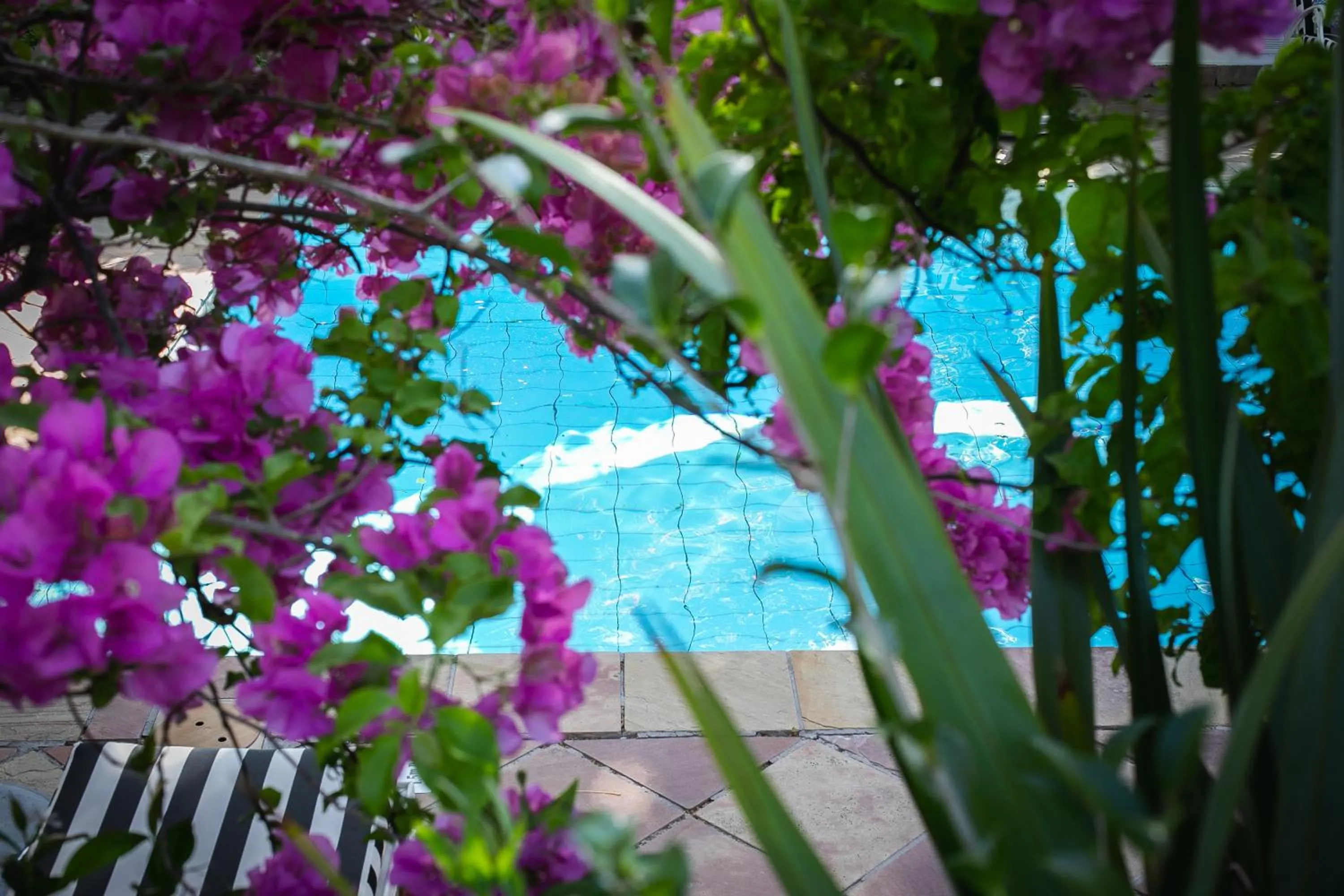 Swimming pool in Last Word Constantia