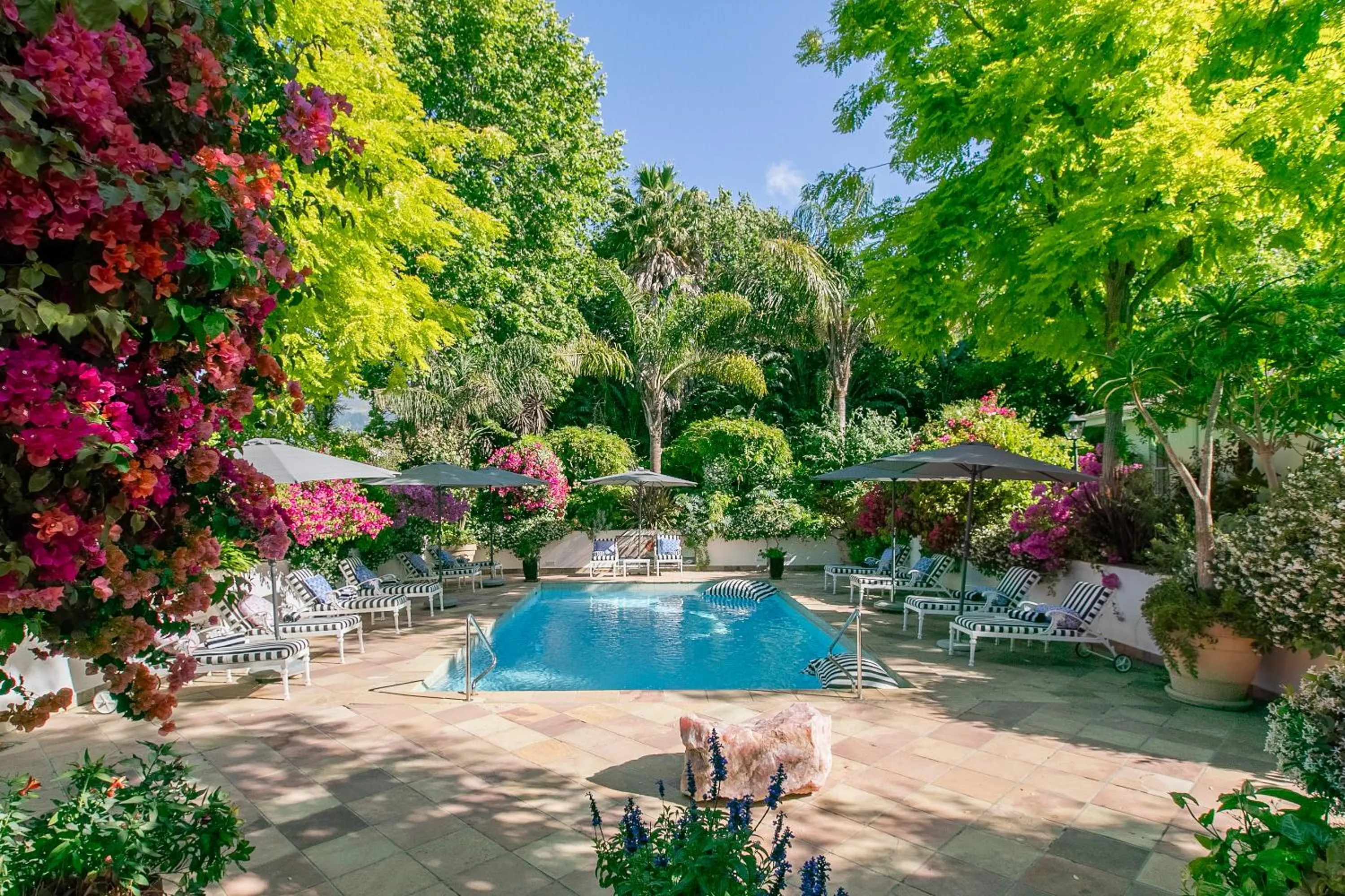 Swimming pool in Last Word Constantia