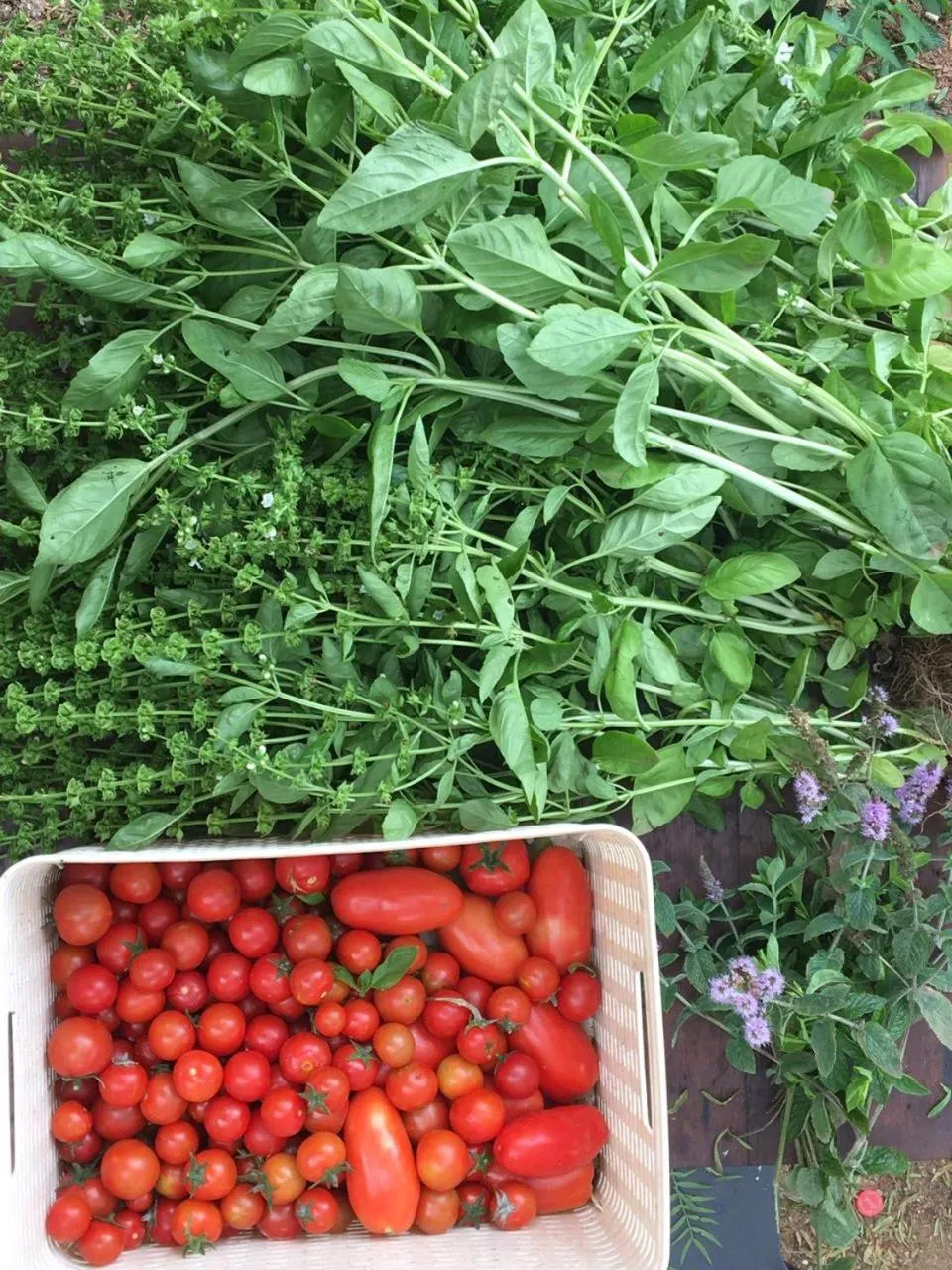 Landmark view in Fauna Hotel