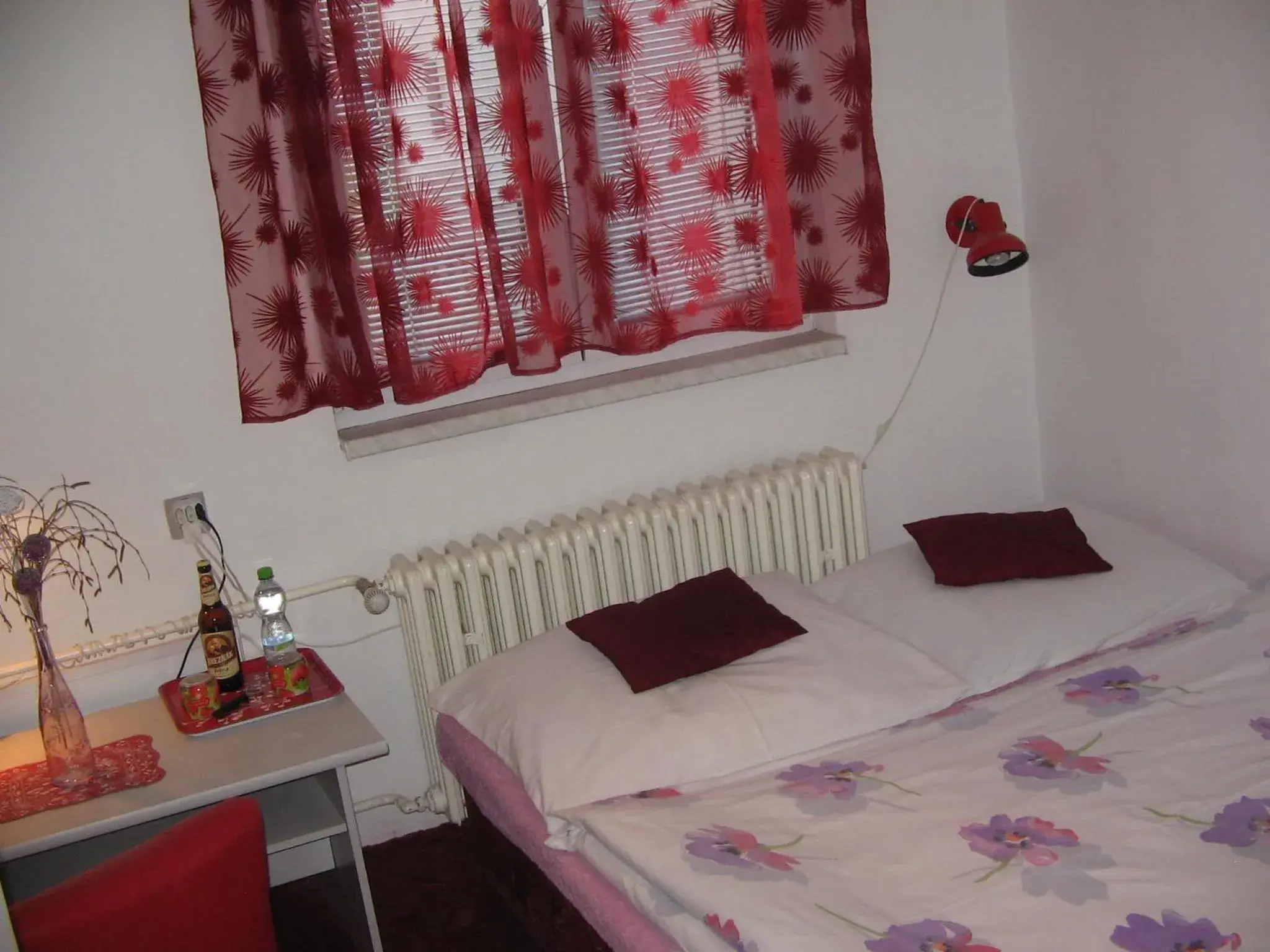 Double Room in Penzion Zavodsky Double Room in Penzion Zavodsky