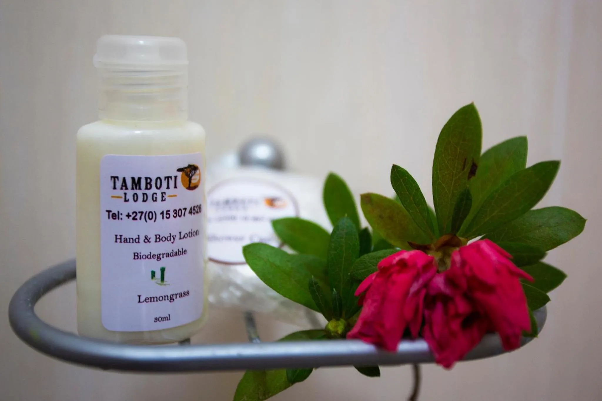 Tamboti Lodge Guest House