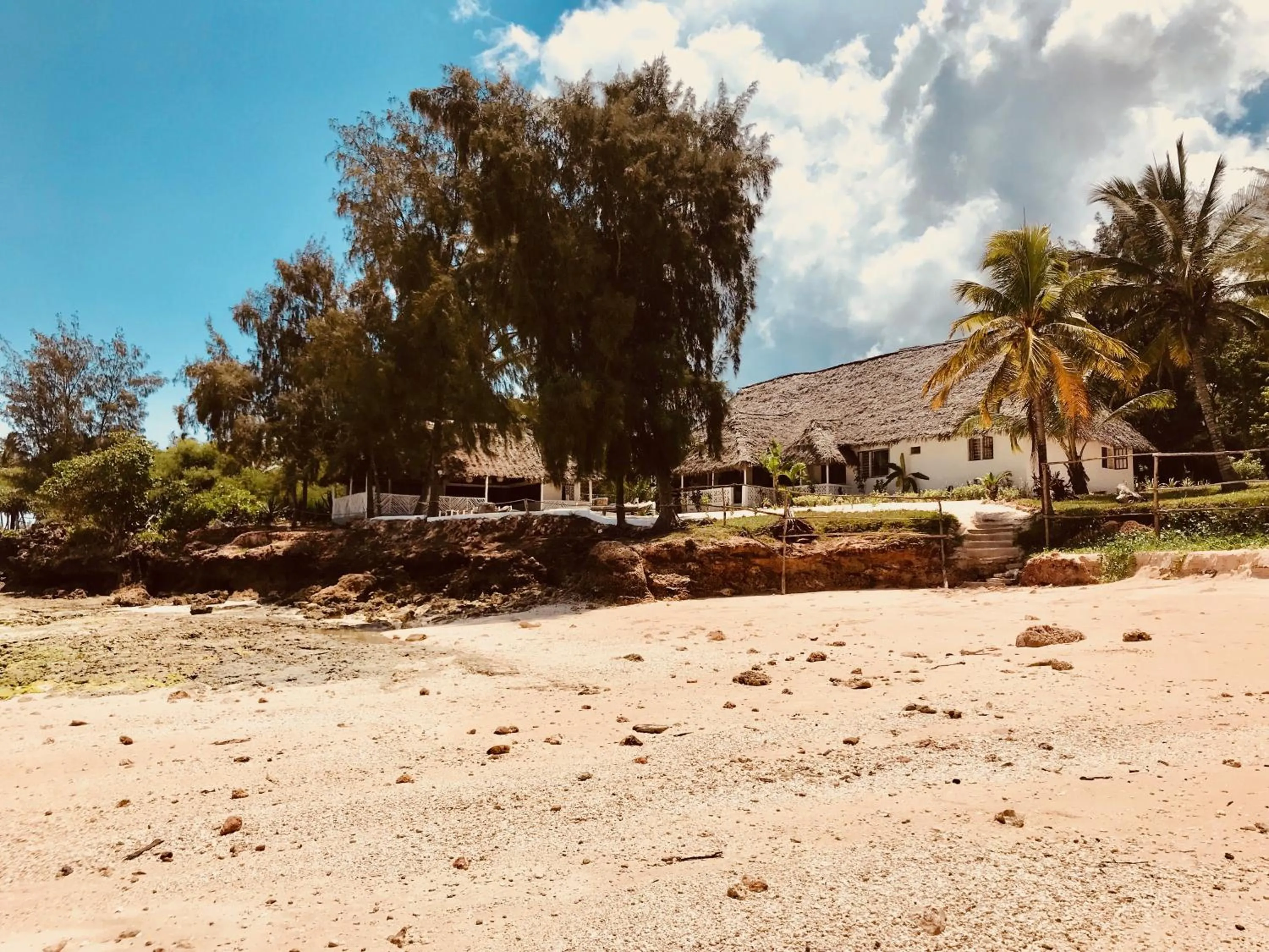 Property building in Mama Root