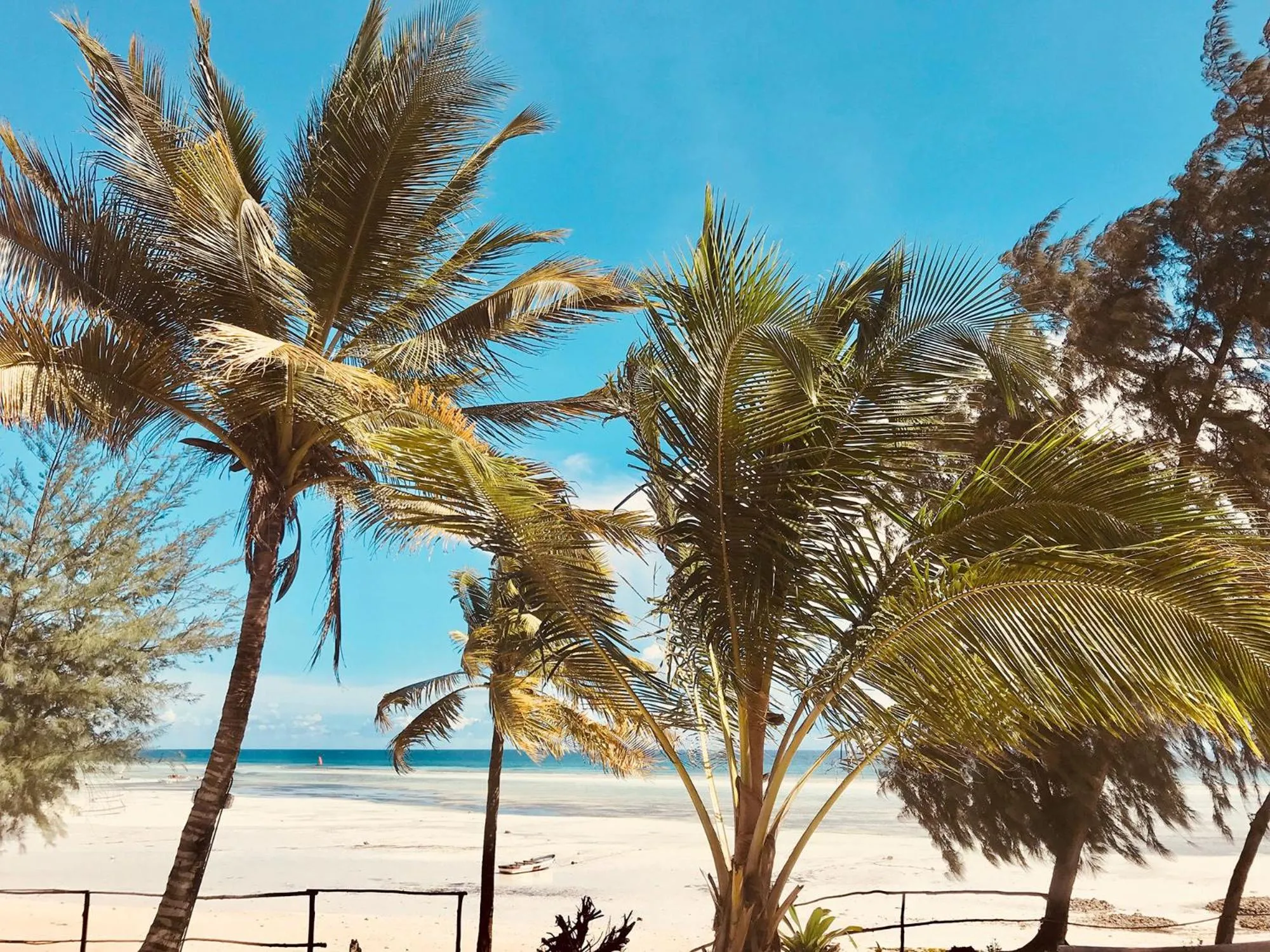 Beach in Mama Root