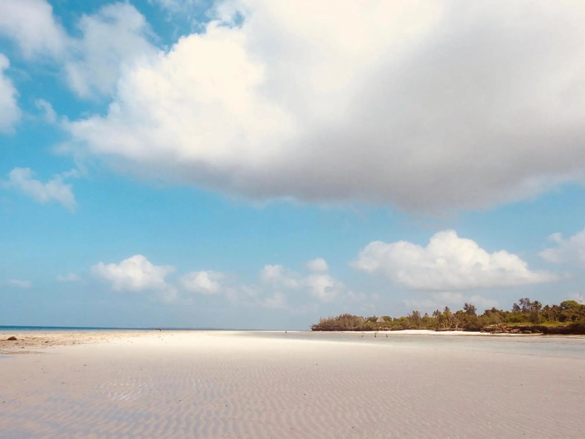 Beach in Mama Root