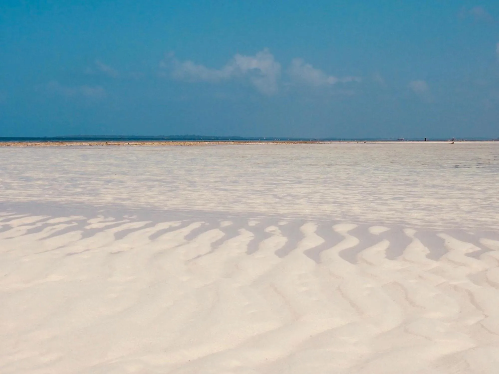 Beach in Mama Root