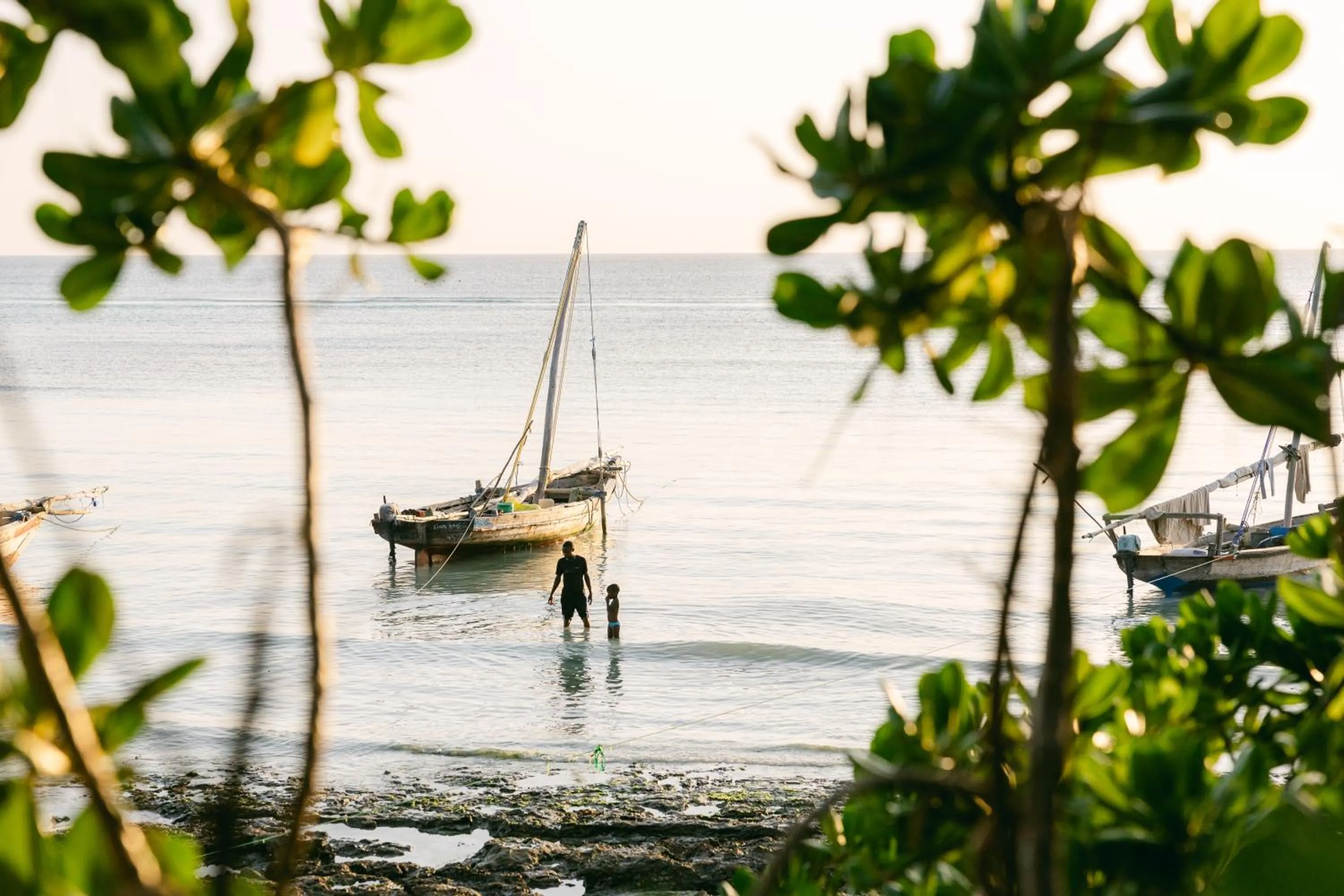 Sea view in Mama Root