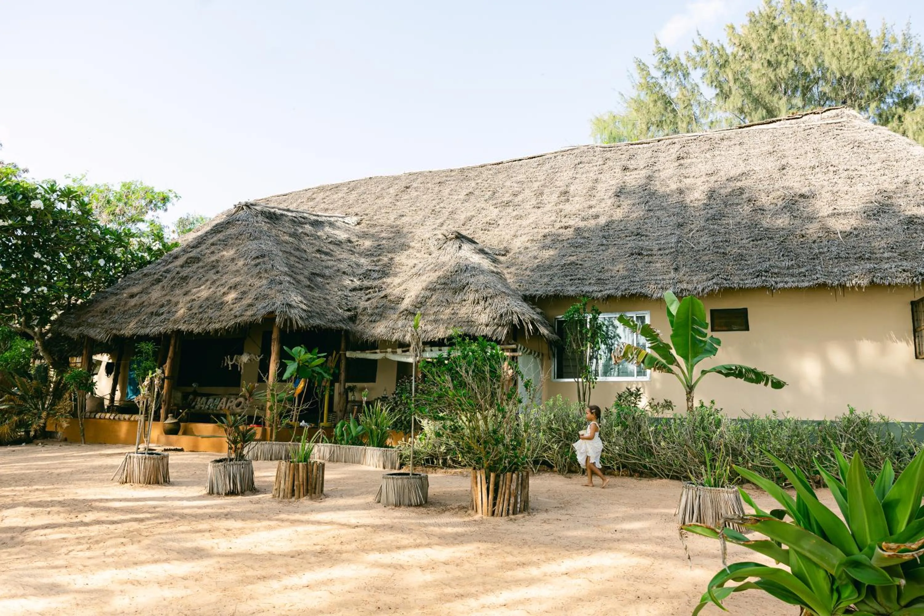 Property building in Mama Root