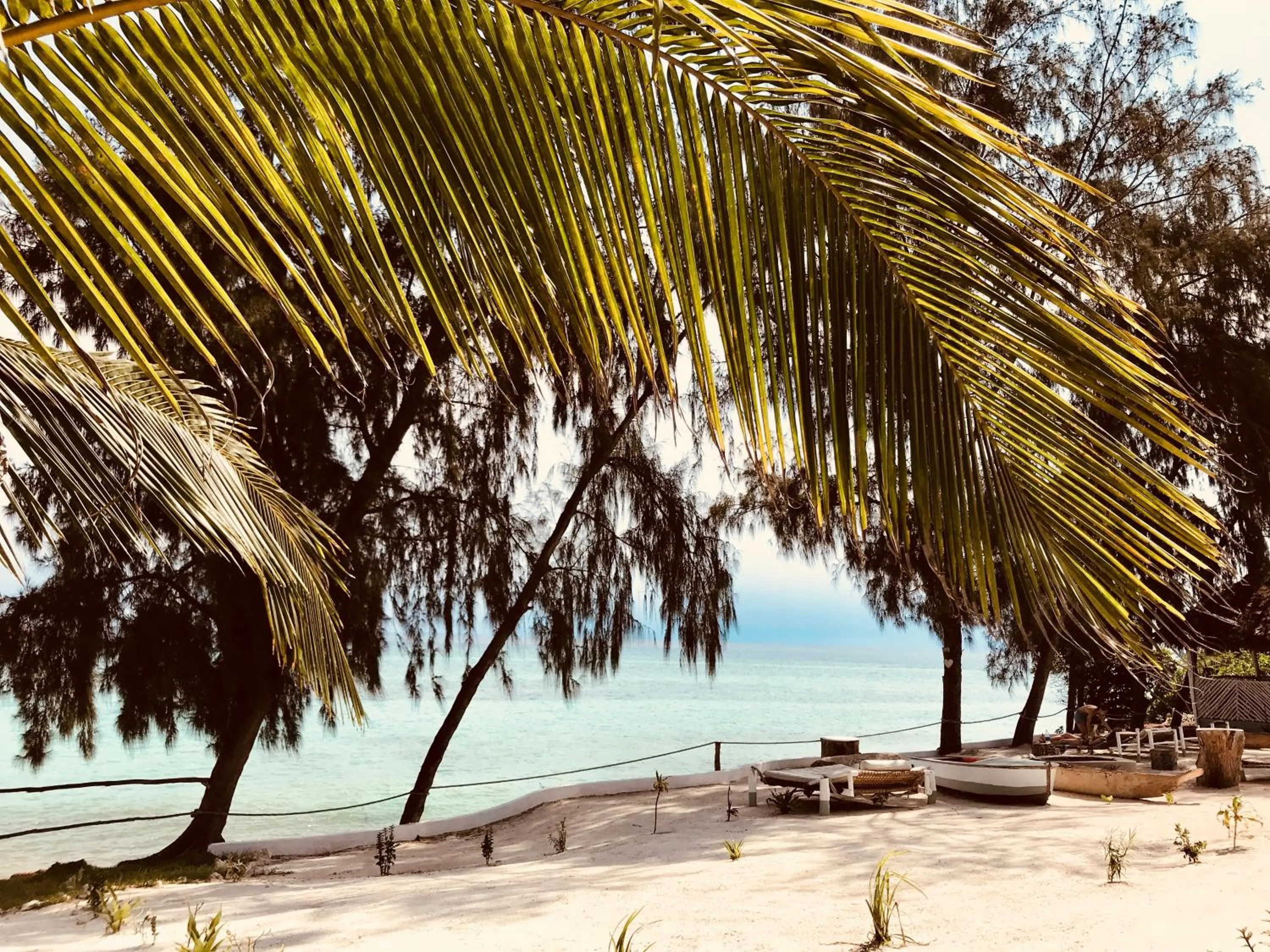 Property building in Mama Root
