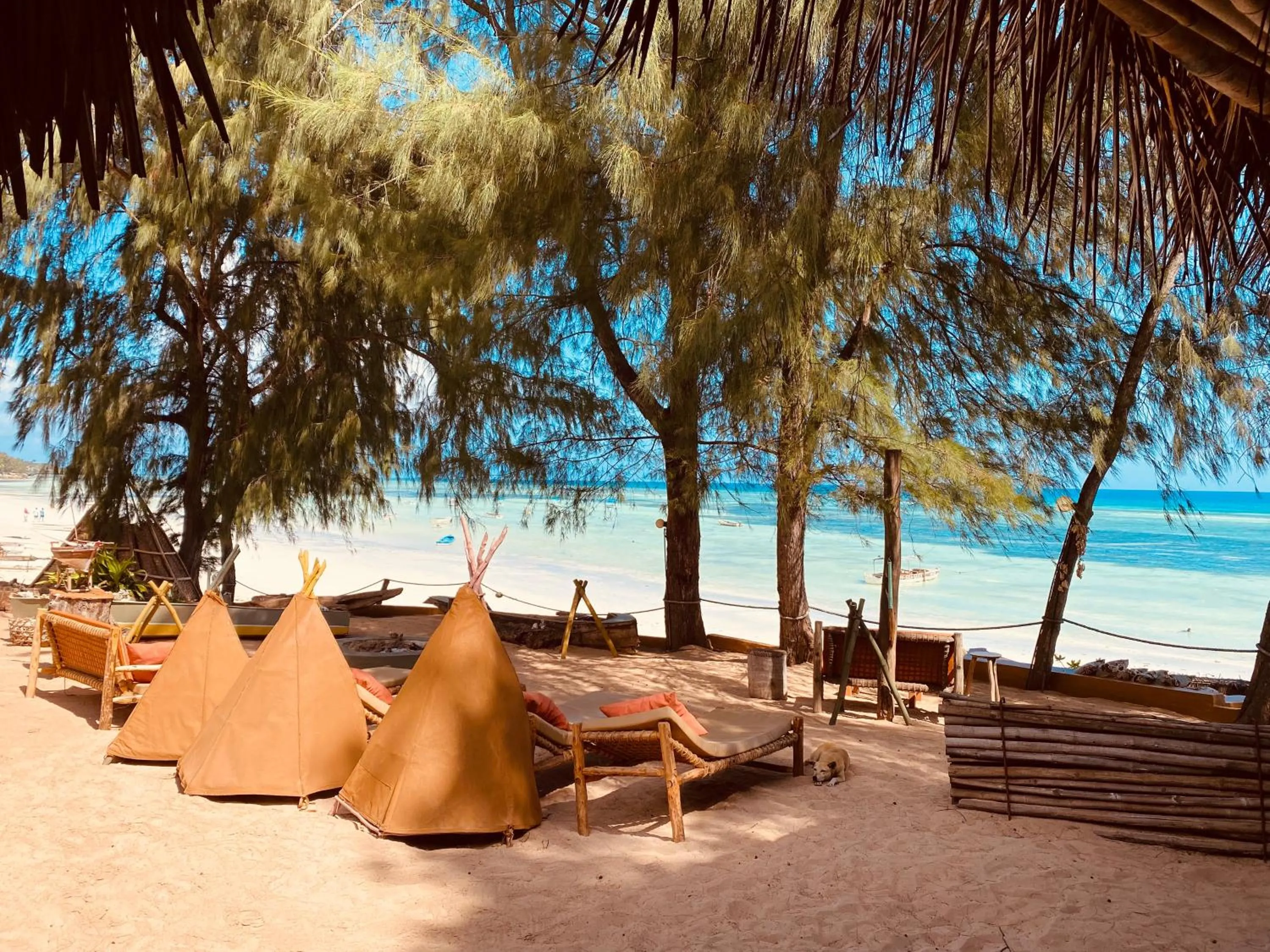 Beach in Mama Root