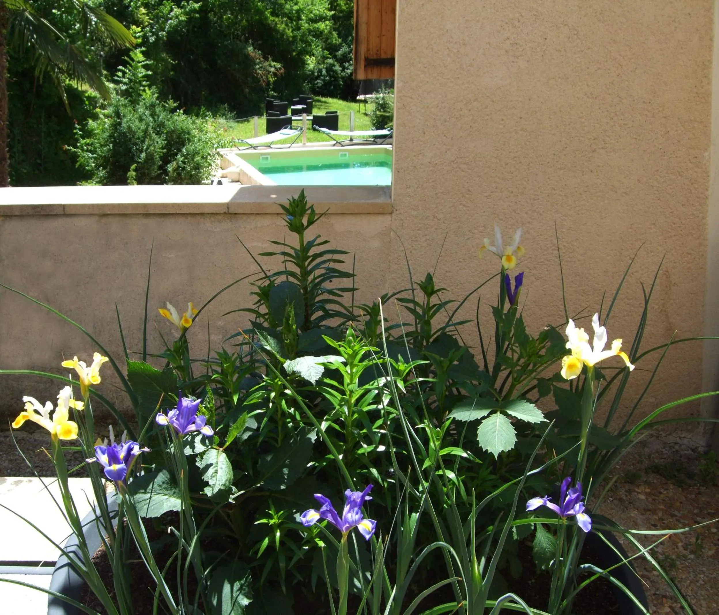 Pool view in Hôtel Le Moulin D'Olt
