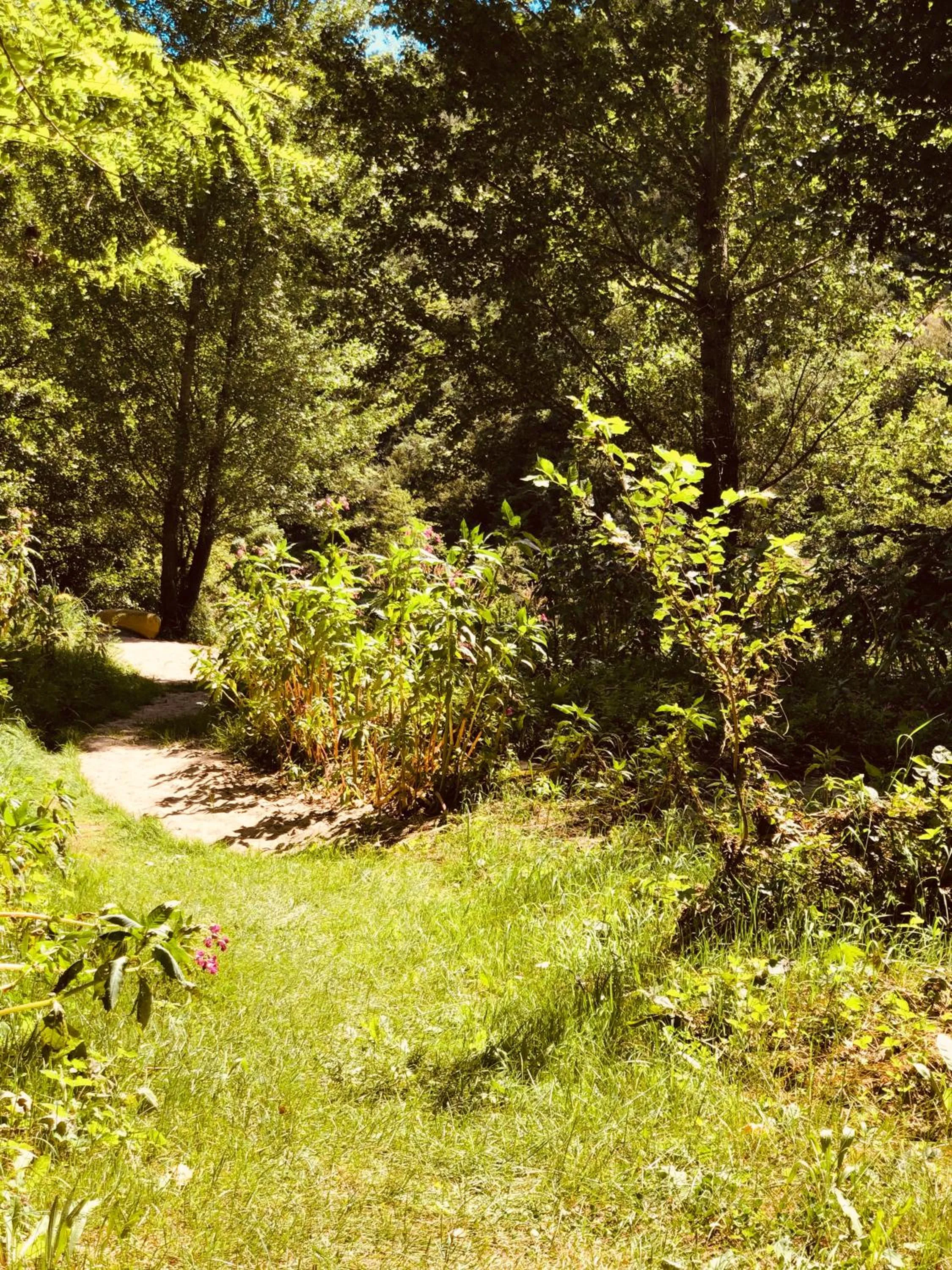 Beach in Hôtel Le Moulin D'Olt