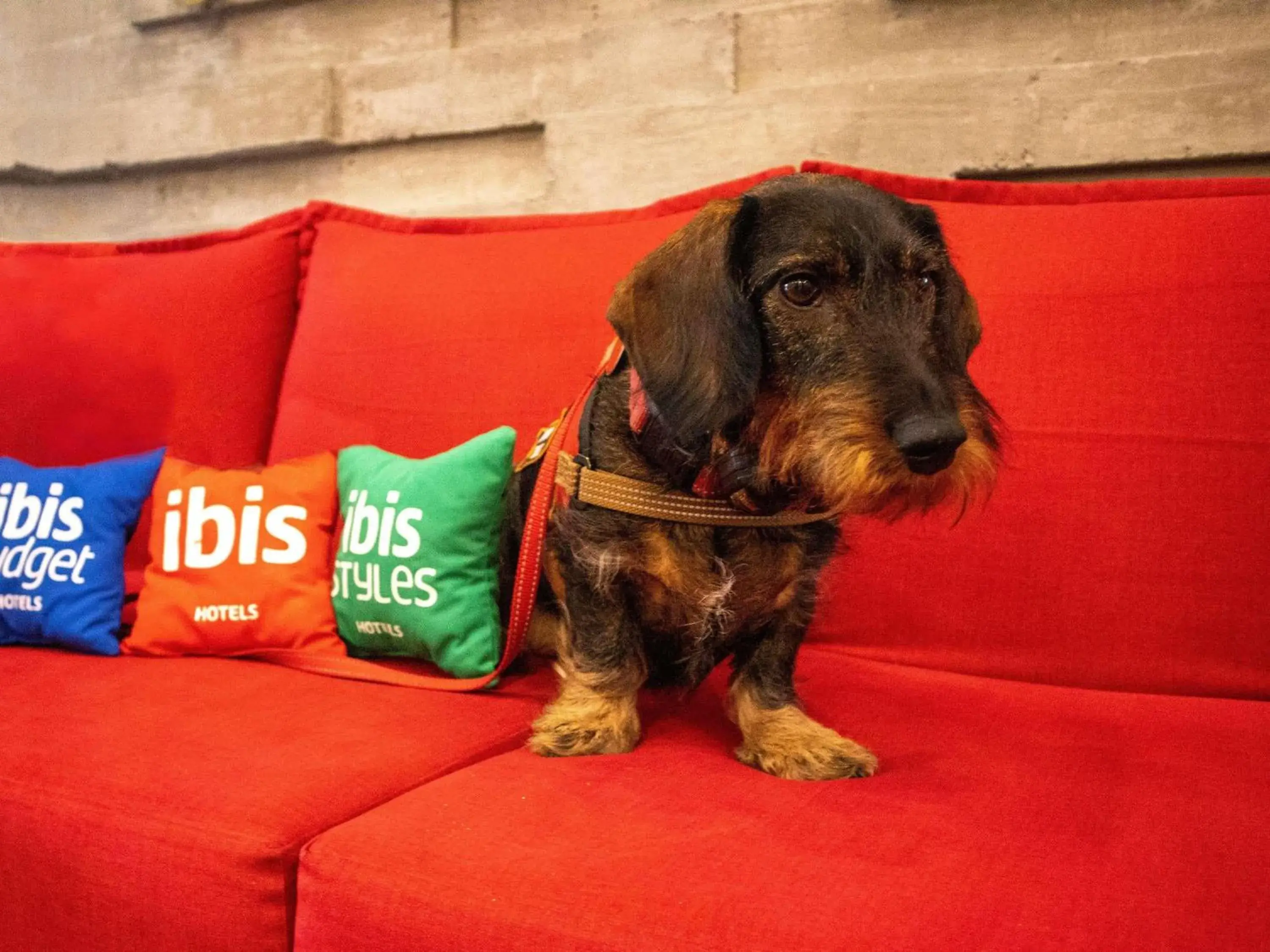 Property building in Ibis Merida Property building in Ibis Merida