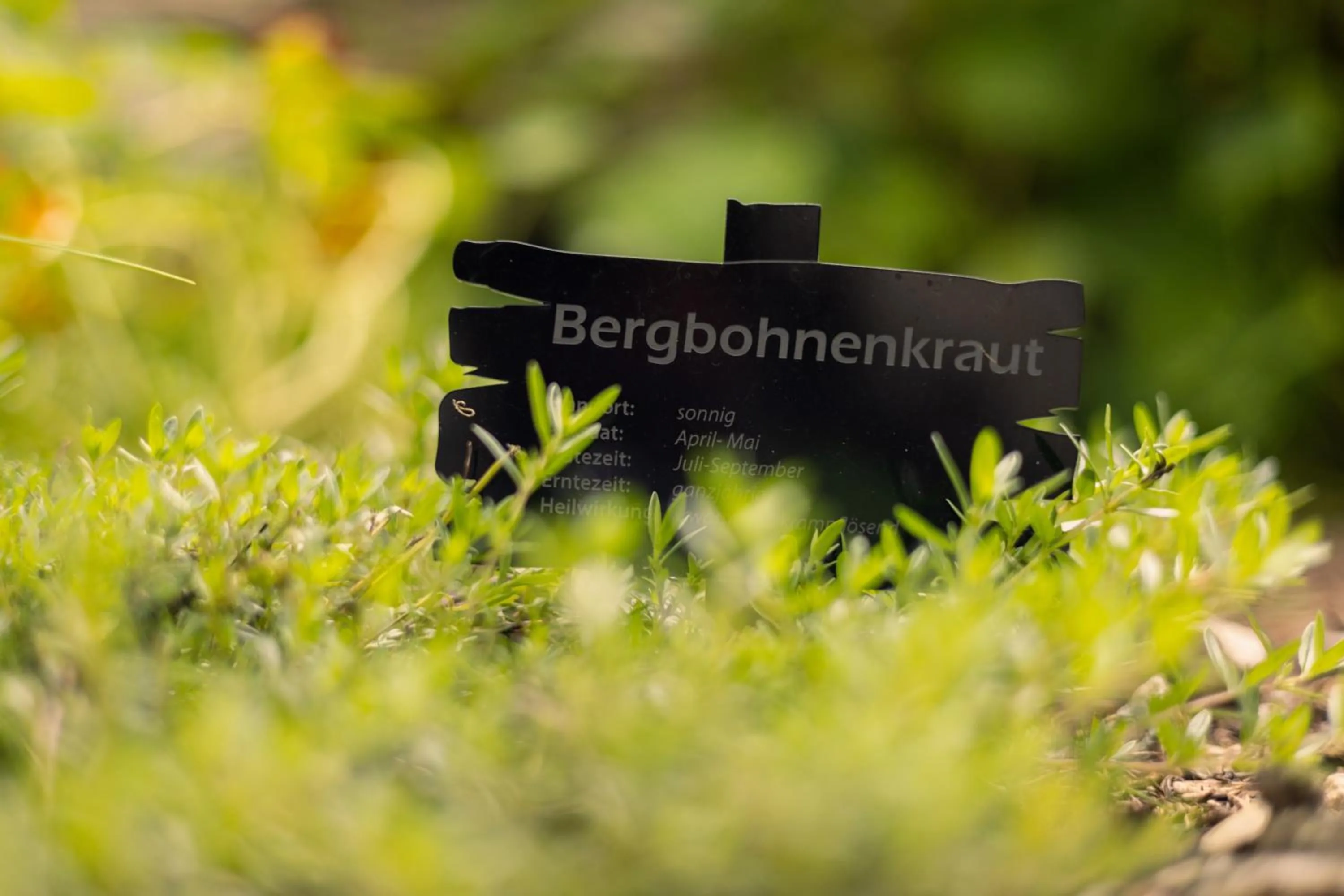 Garden in Ferienhotel Jörglerhof