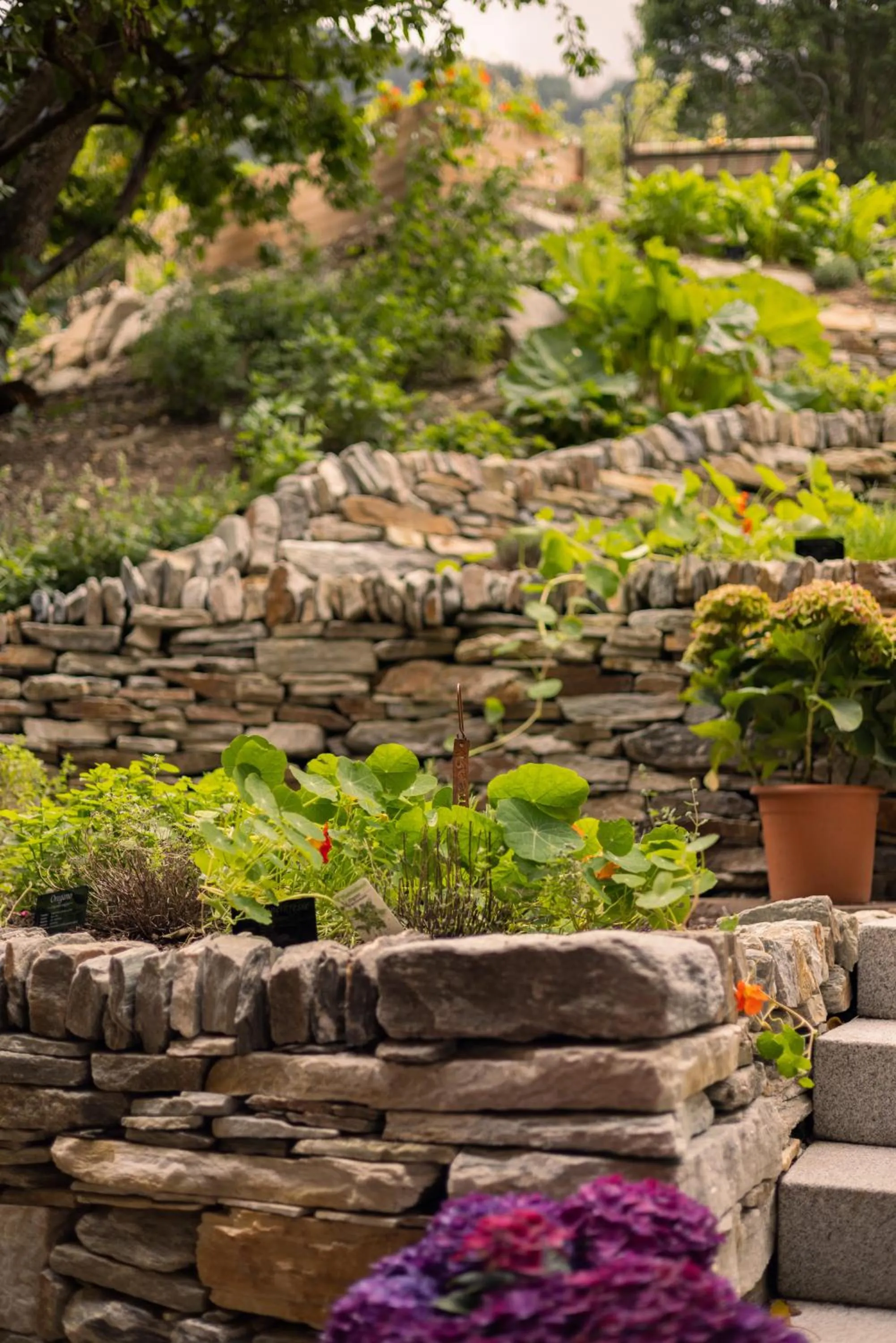 Garden in Ferienhotel Jörglerhof