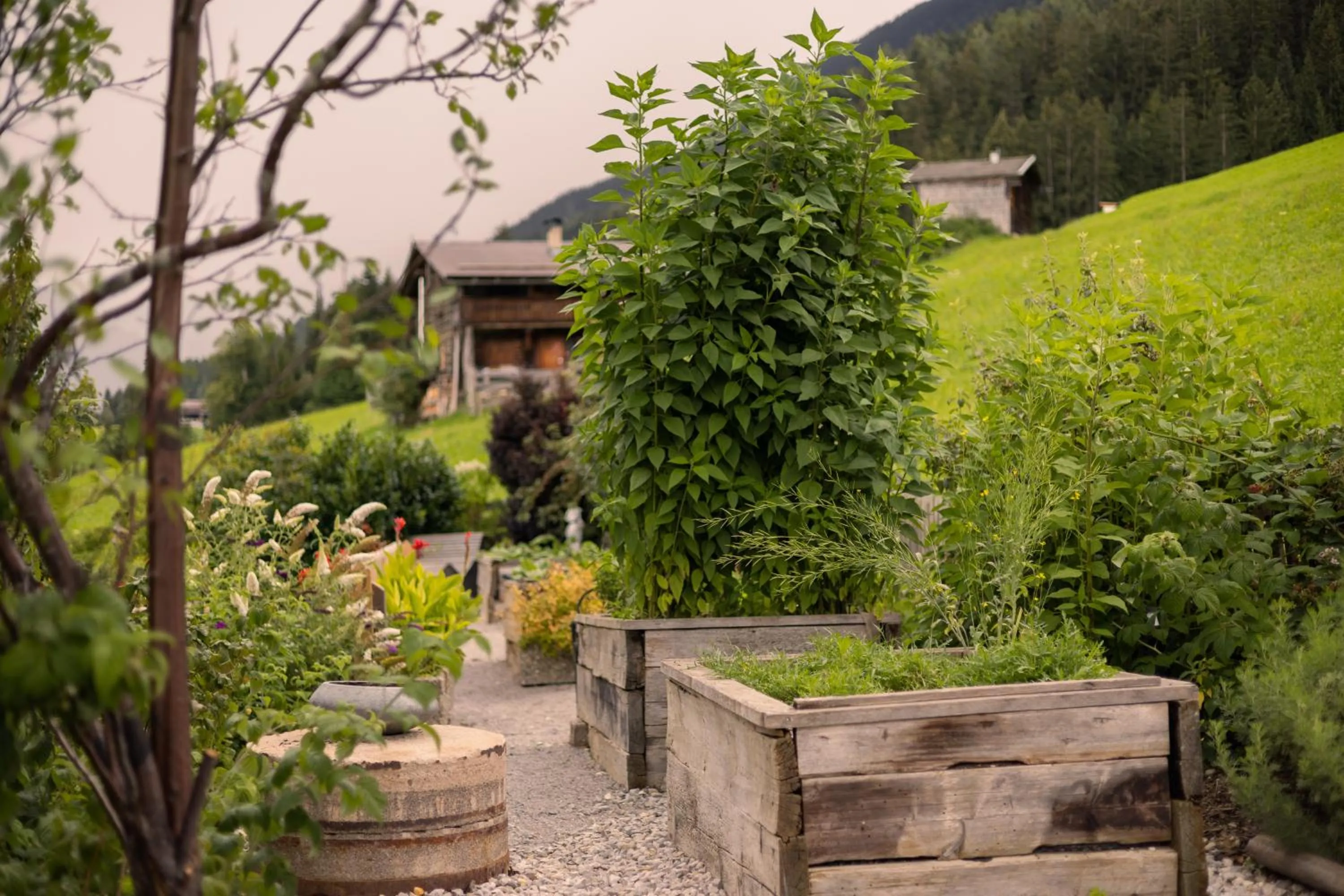 Garden in Ferienhotel Jörglerhof