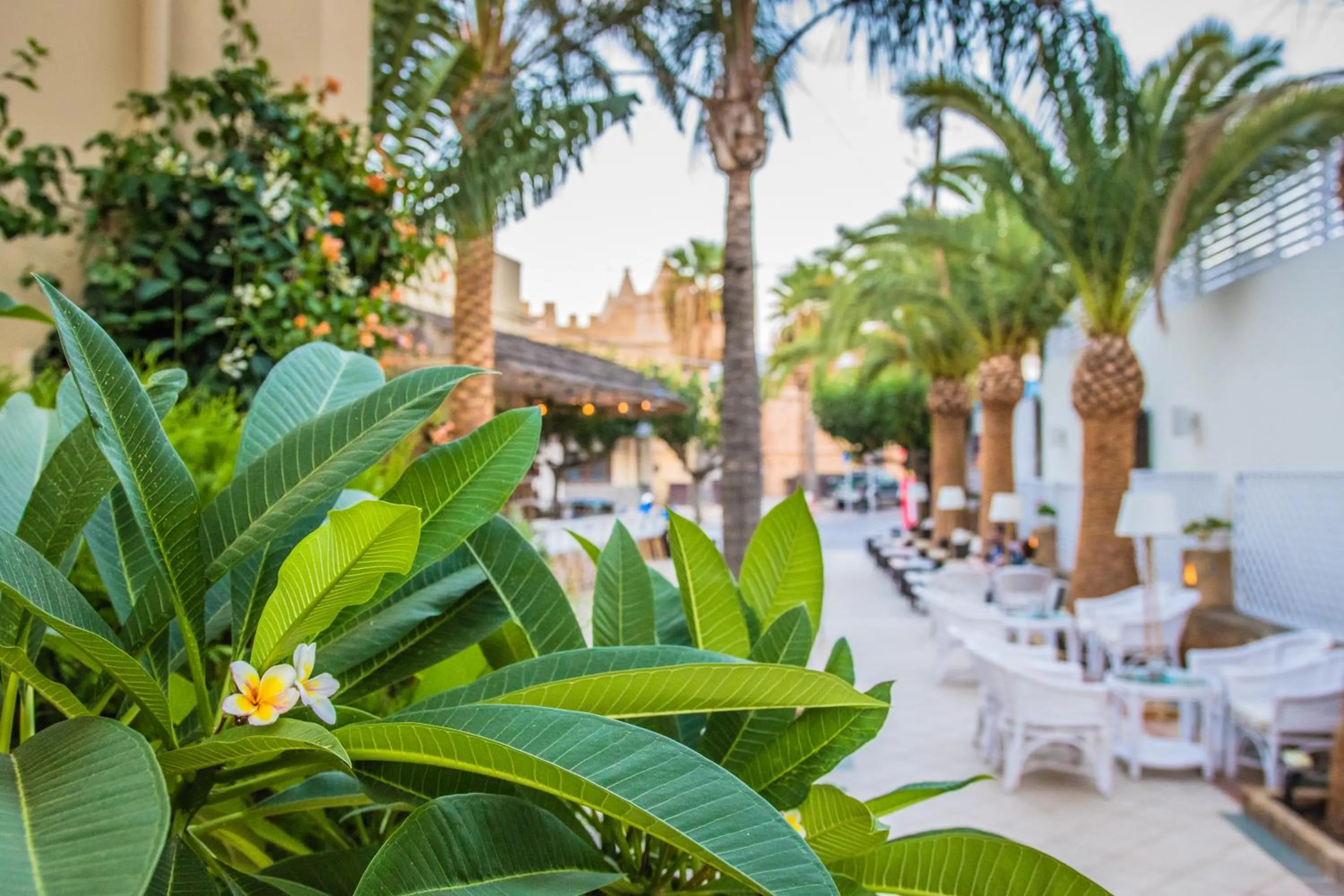 Nightclub / DJ in Danaides