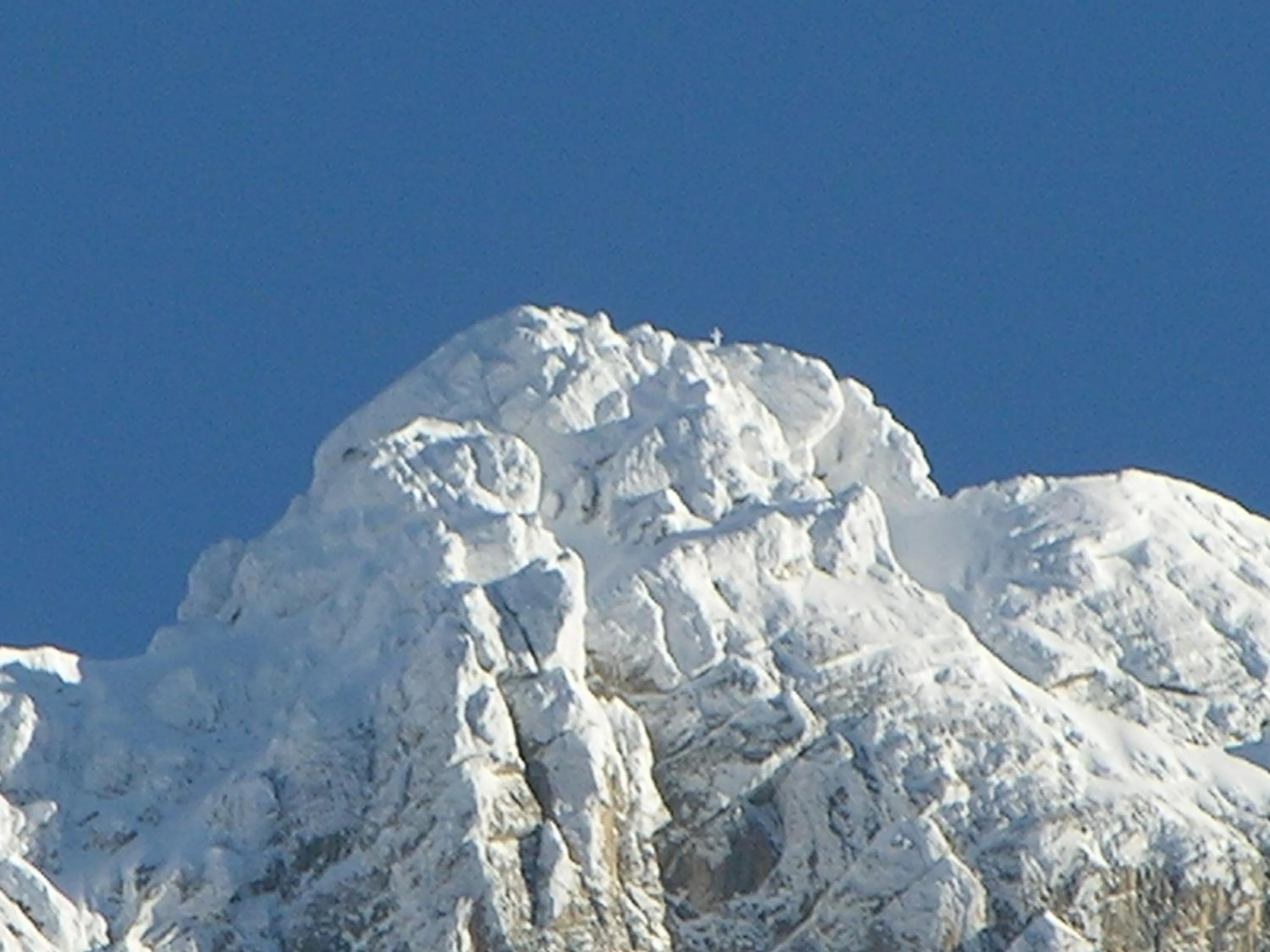 Day in Best Western Hotel Nevada