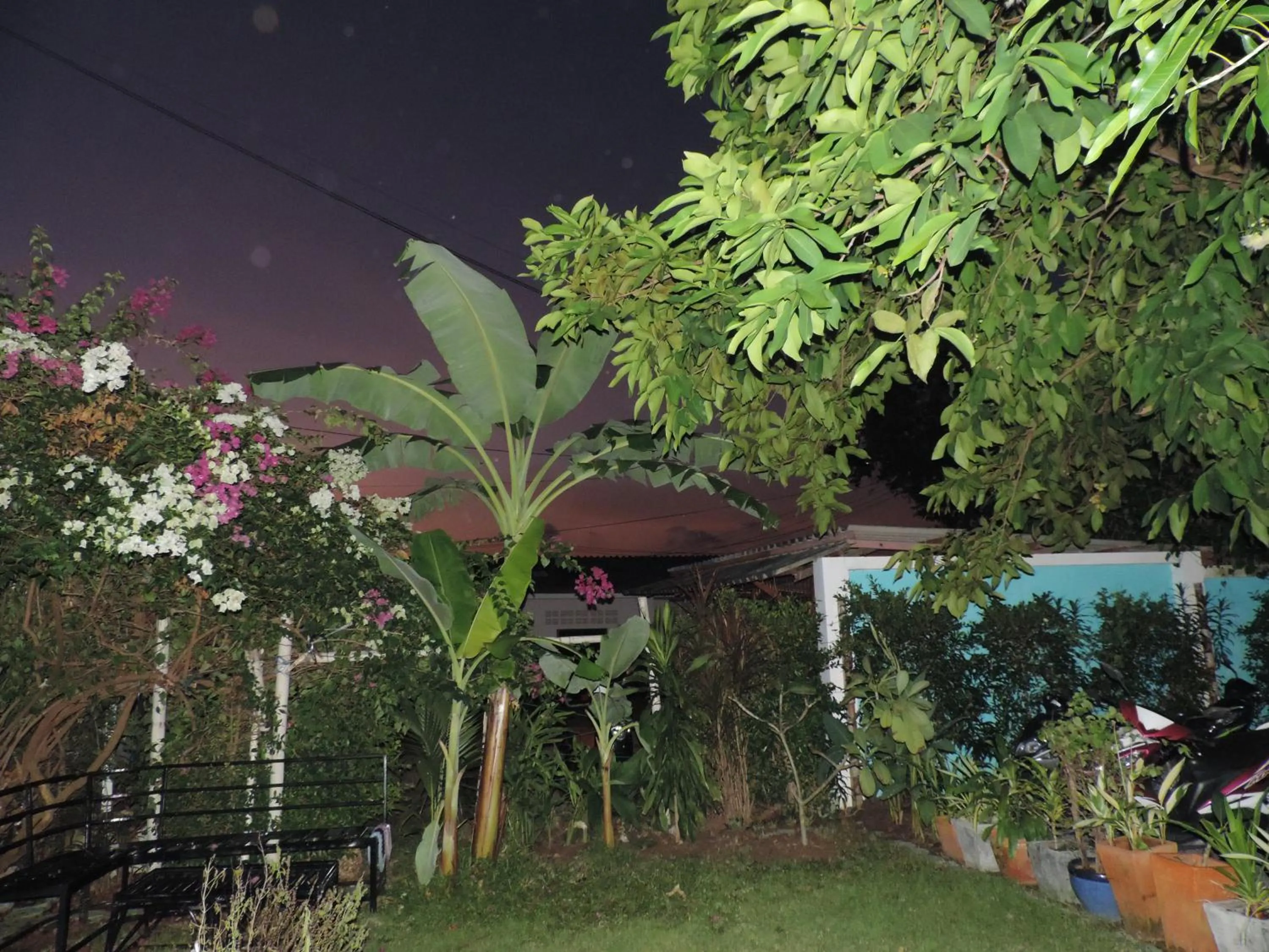 Garden in Blue Paradise Residence