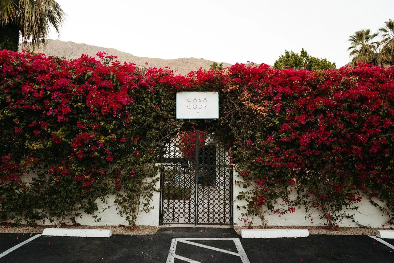 Property building in Casa Cody Property building in Casa Cody