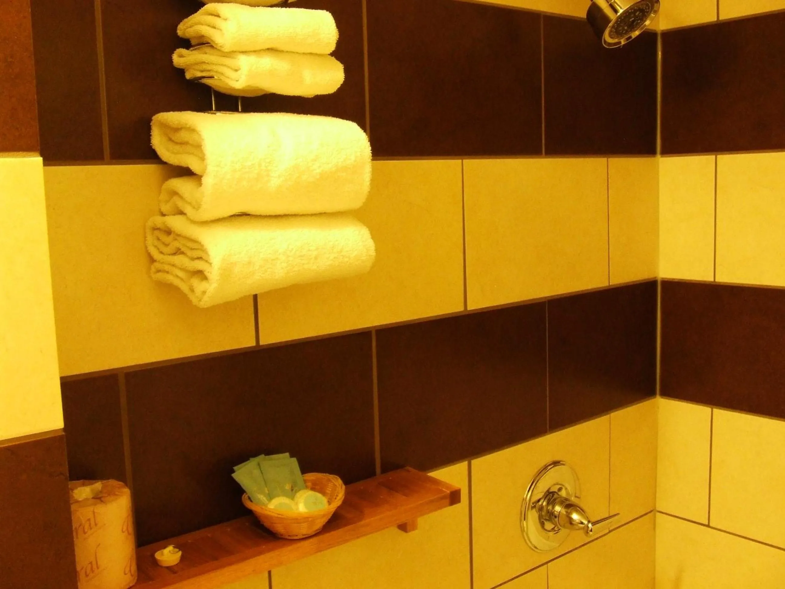 Bathroom in Ponderosa Motor Inn