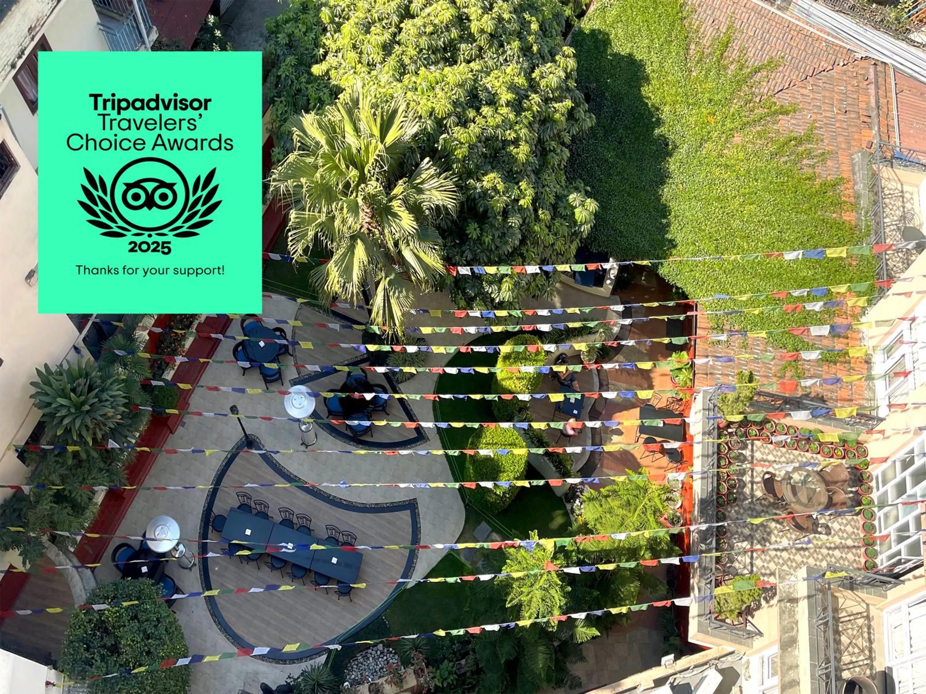 Garden in Hotel Moonlight