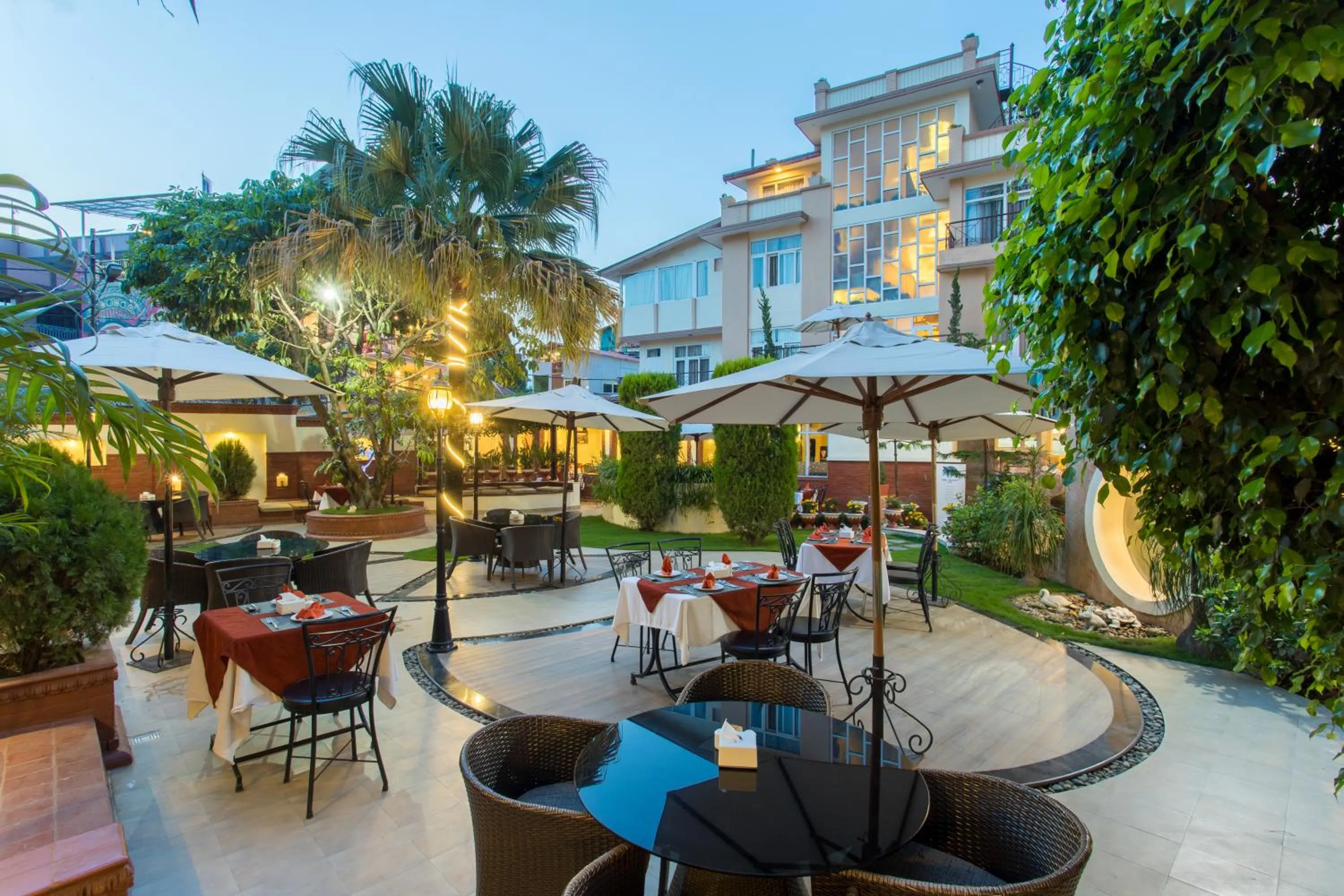 Garden in Hotel Moonlight