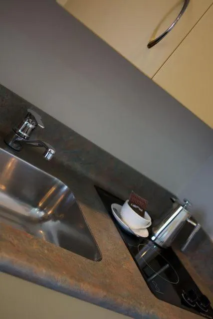 Kitchen or kitchenette in Village Motel