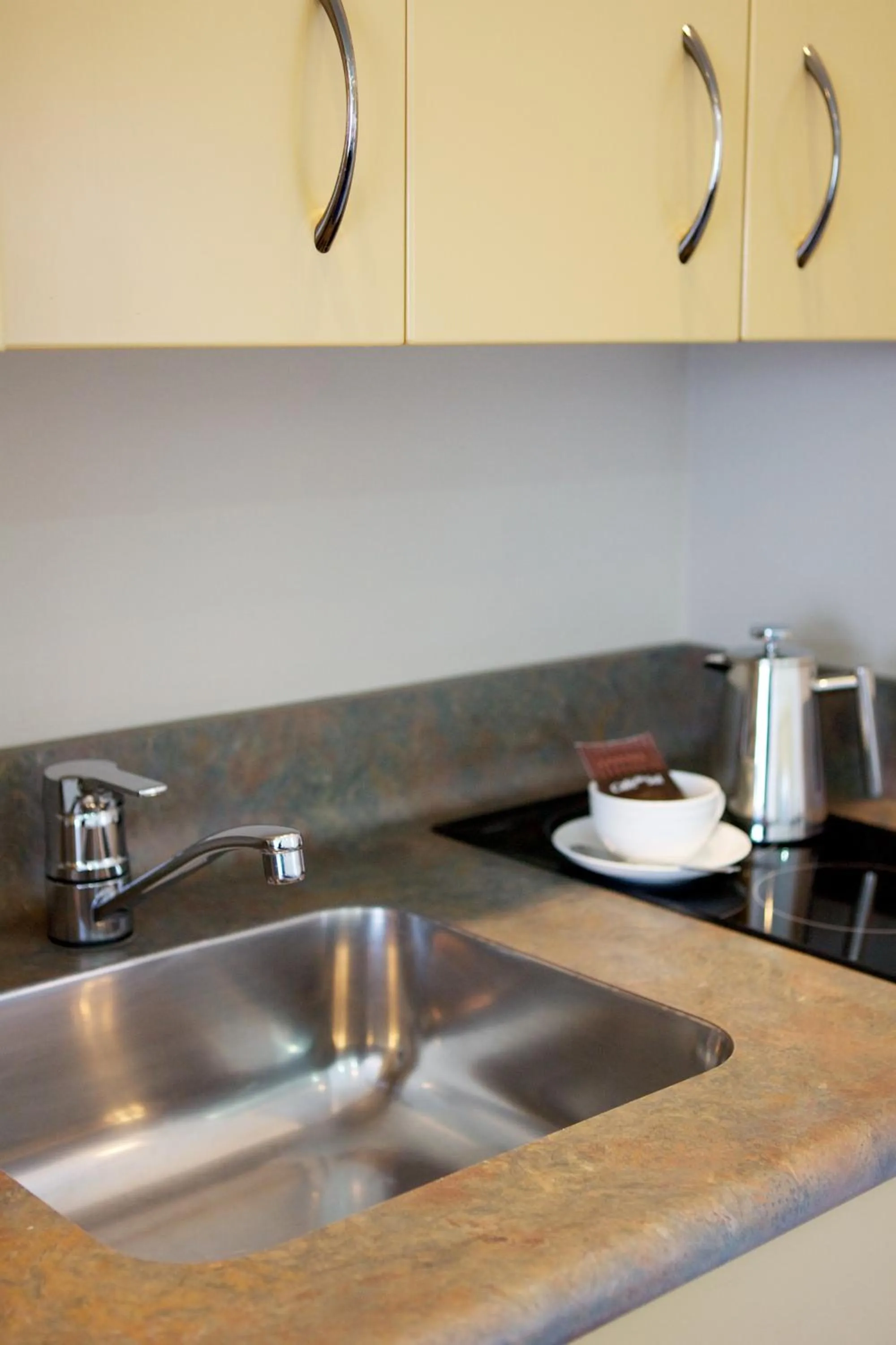 Kitchen or kitchenette in Village Motel