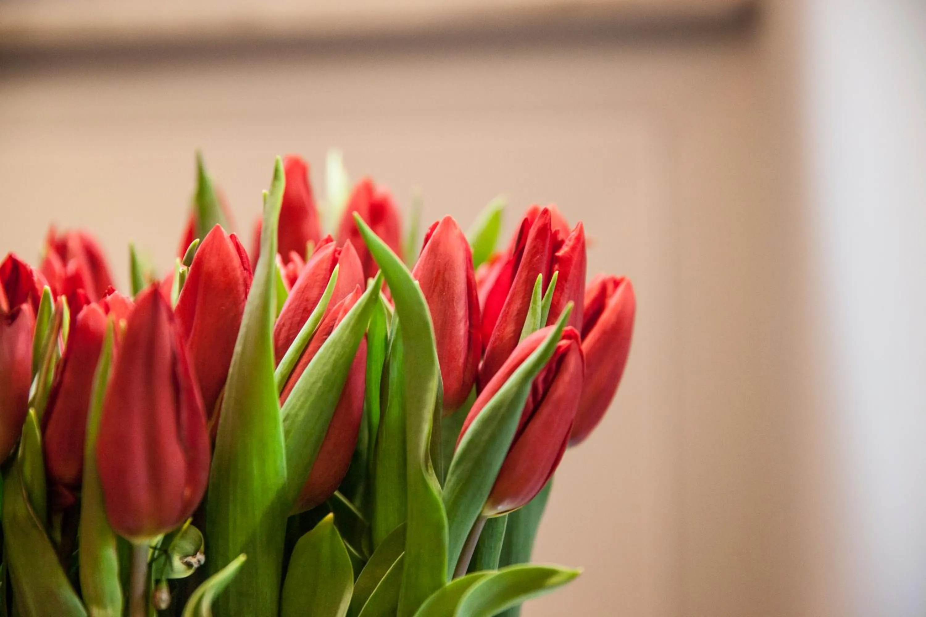 Decorative detail in Casa Fabbrini Fancy Suites