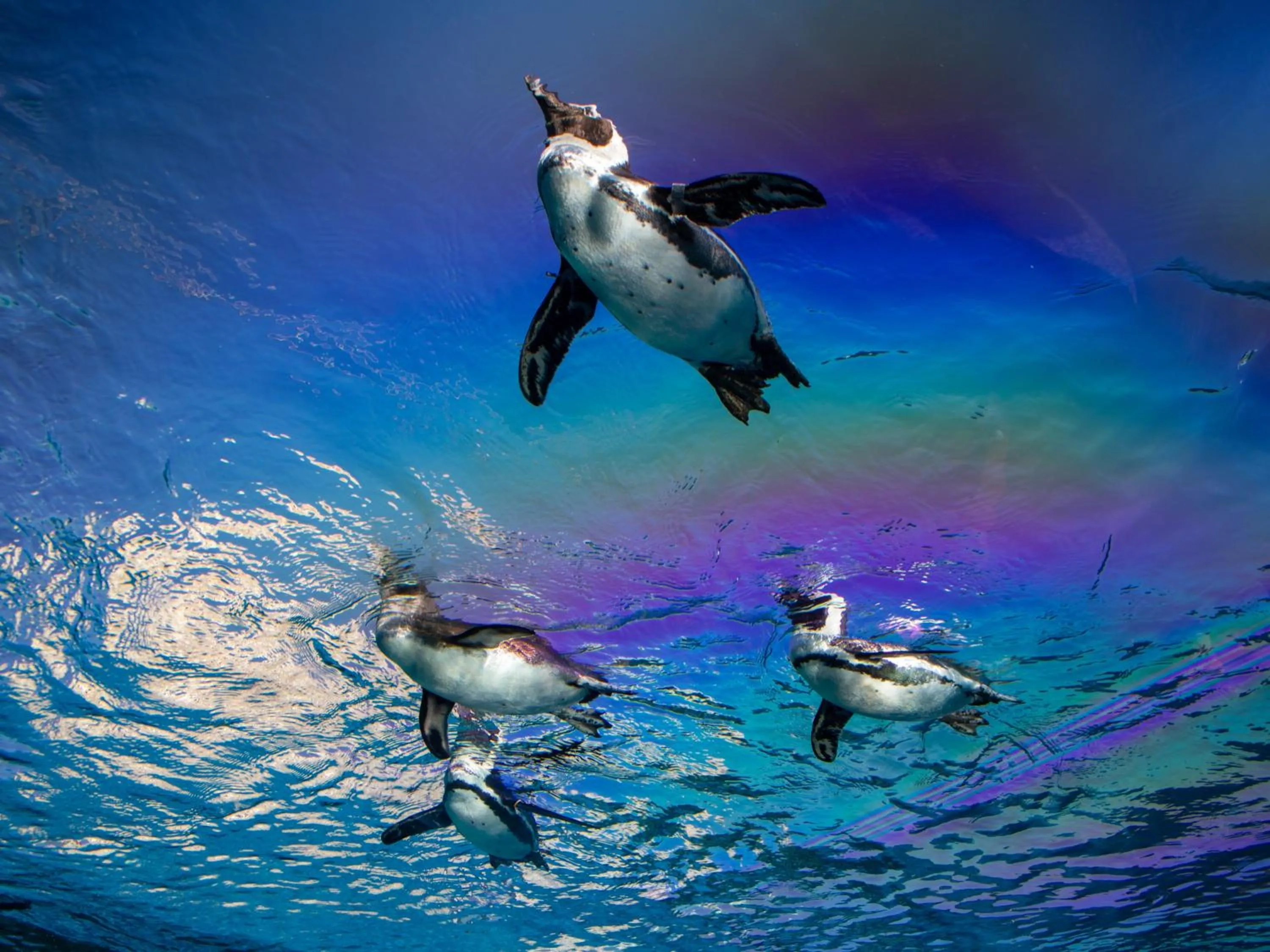 Off site in Hotel Resol Ikebukuro