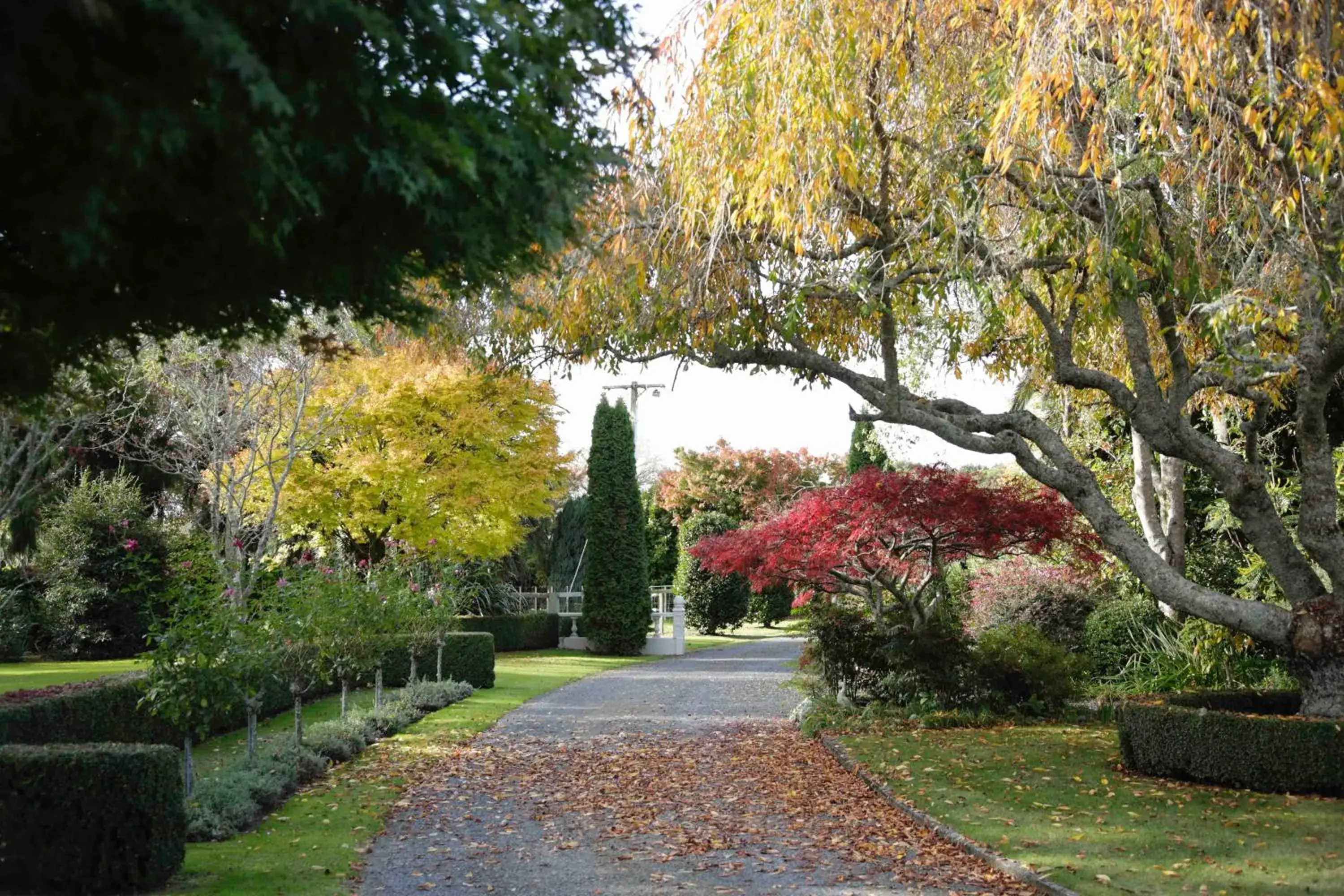 Garden in Somersal Bed & Breakfast Garden in Somersal Bed & Breakfast