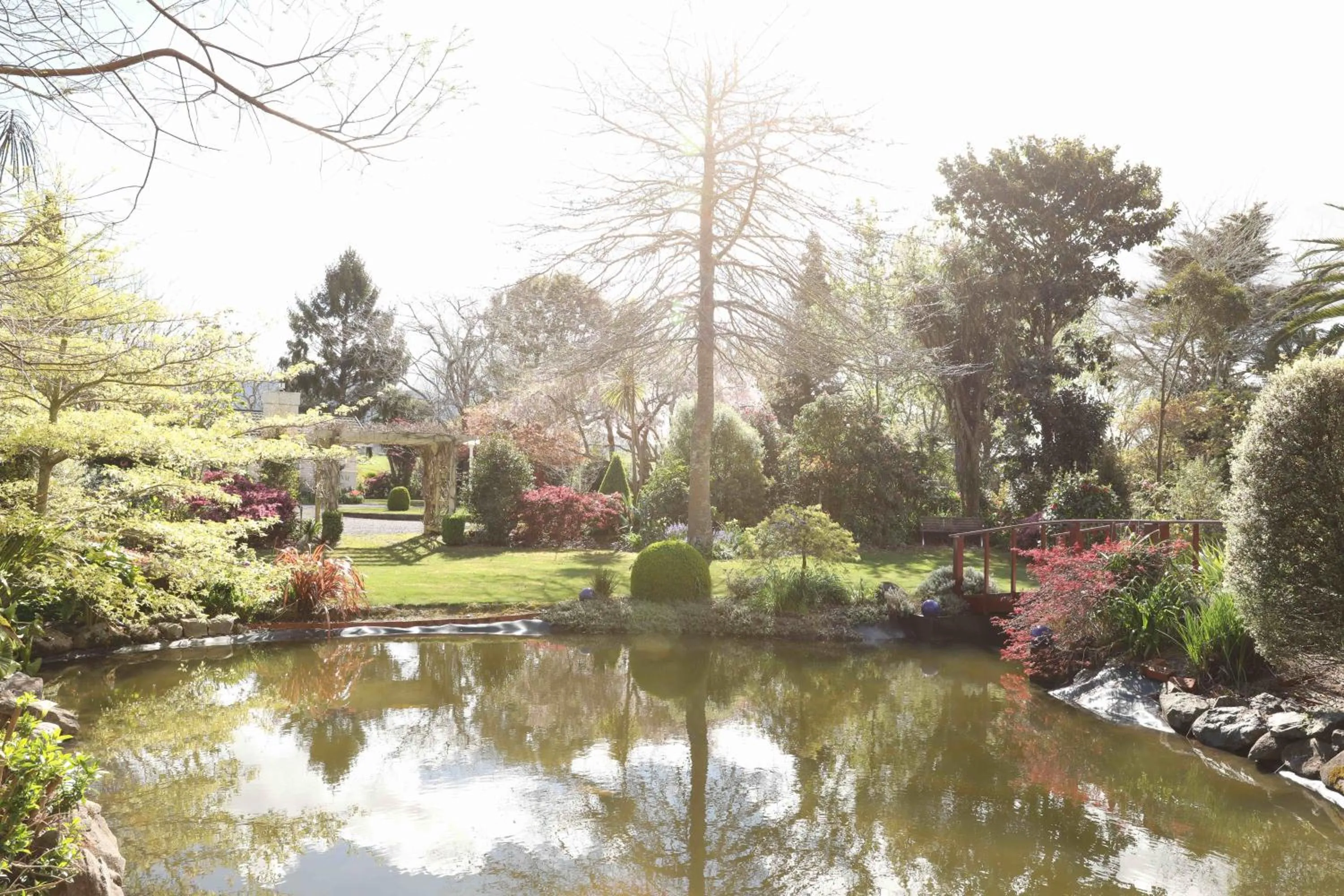 Natural landscape in Somersal Bed & Breakfast