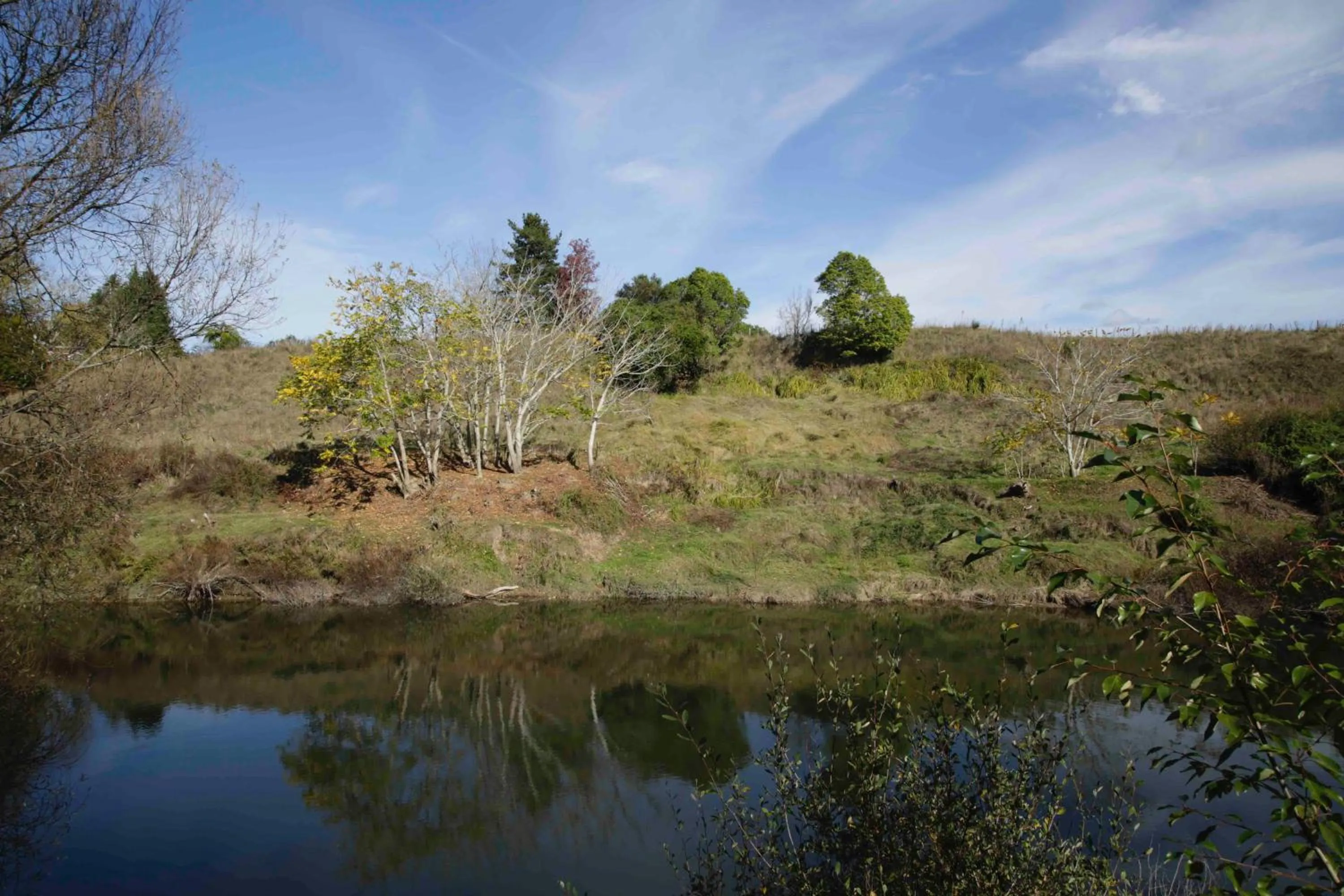 Natural landscape in Somersal Bed & Breakfast